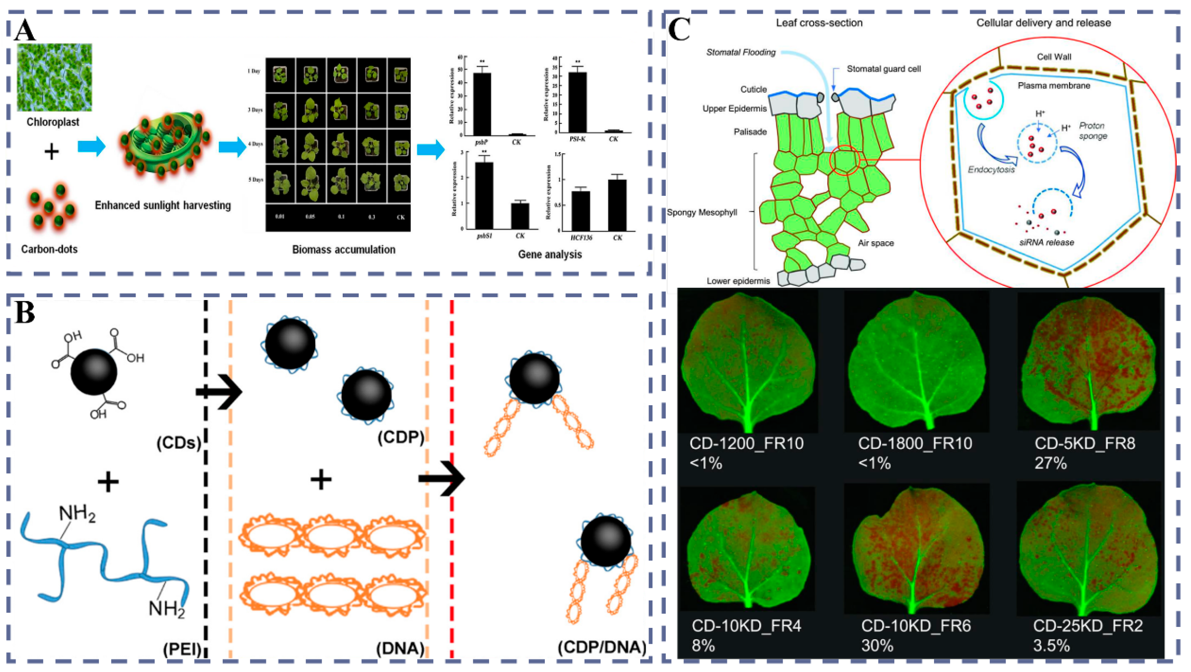 Plants 14 03625 g004