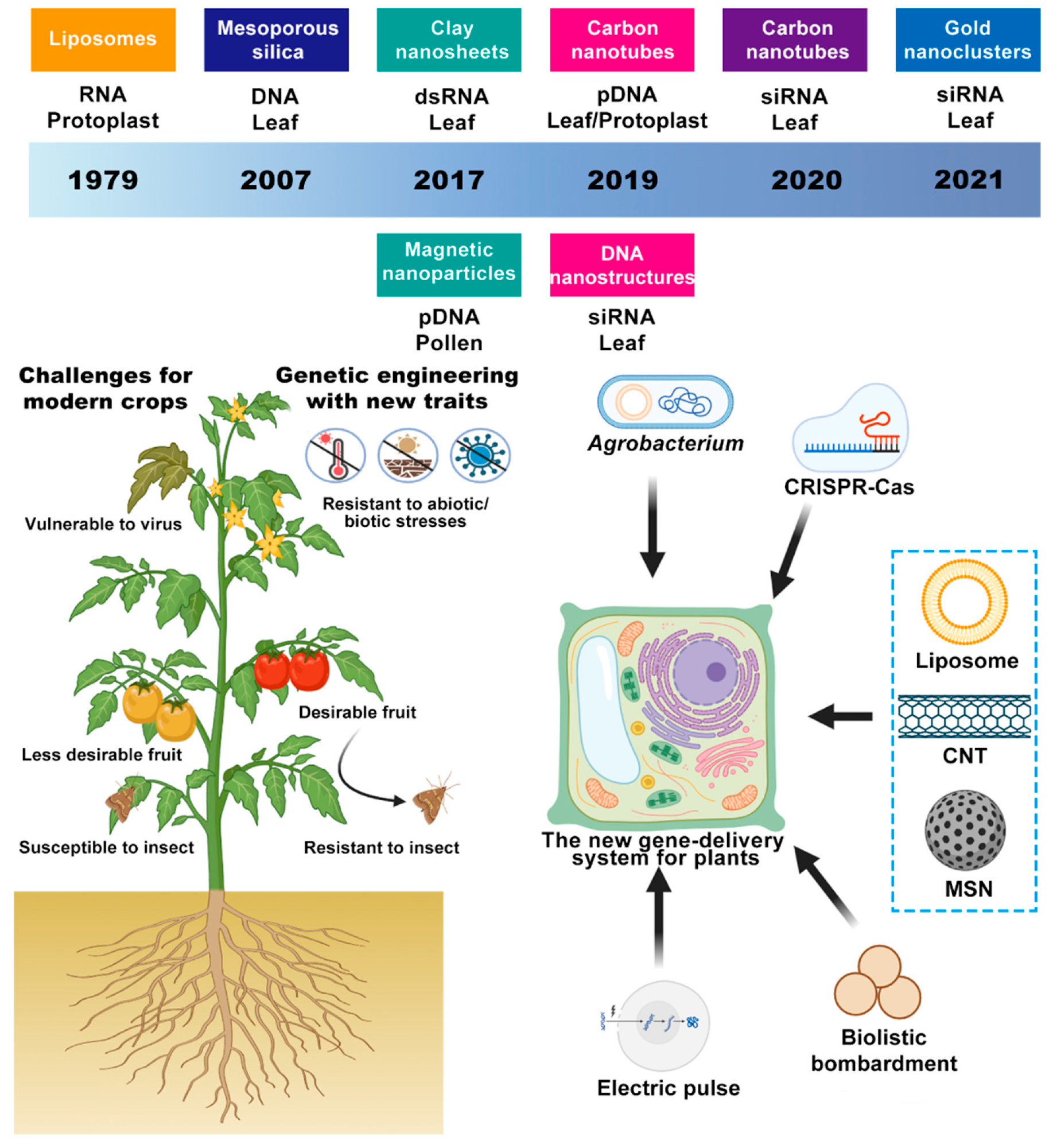 Plants 14 03625 sch001
