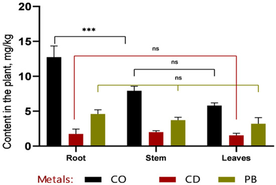 Phytoremediation of Heavy Metal-Contaminated Soil Using Drought-Adapted ...