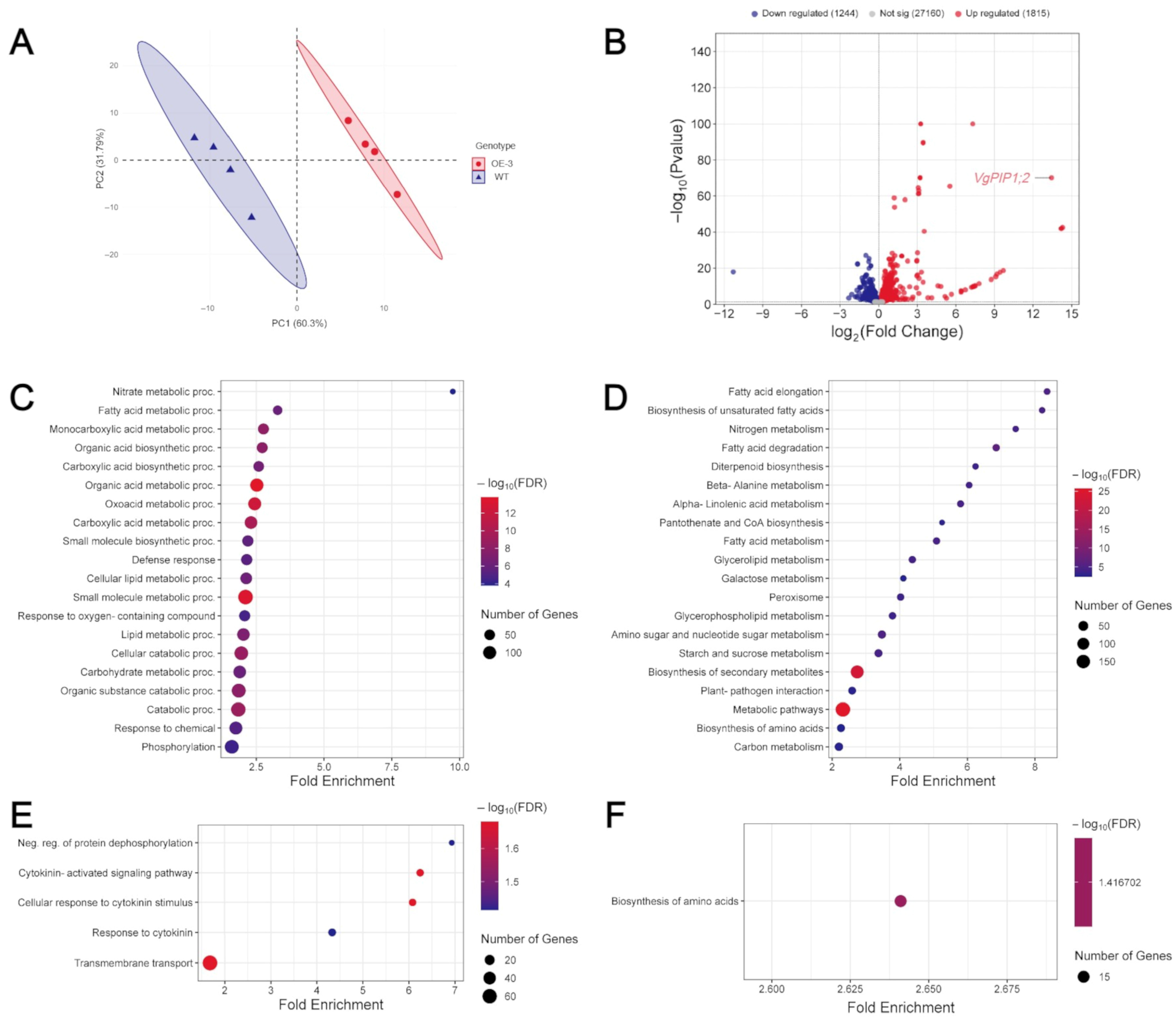 Plants 14 03628 g005