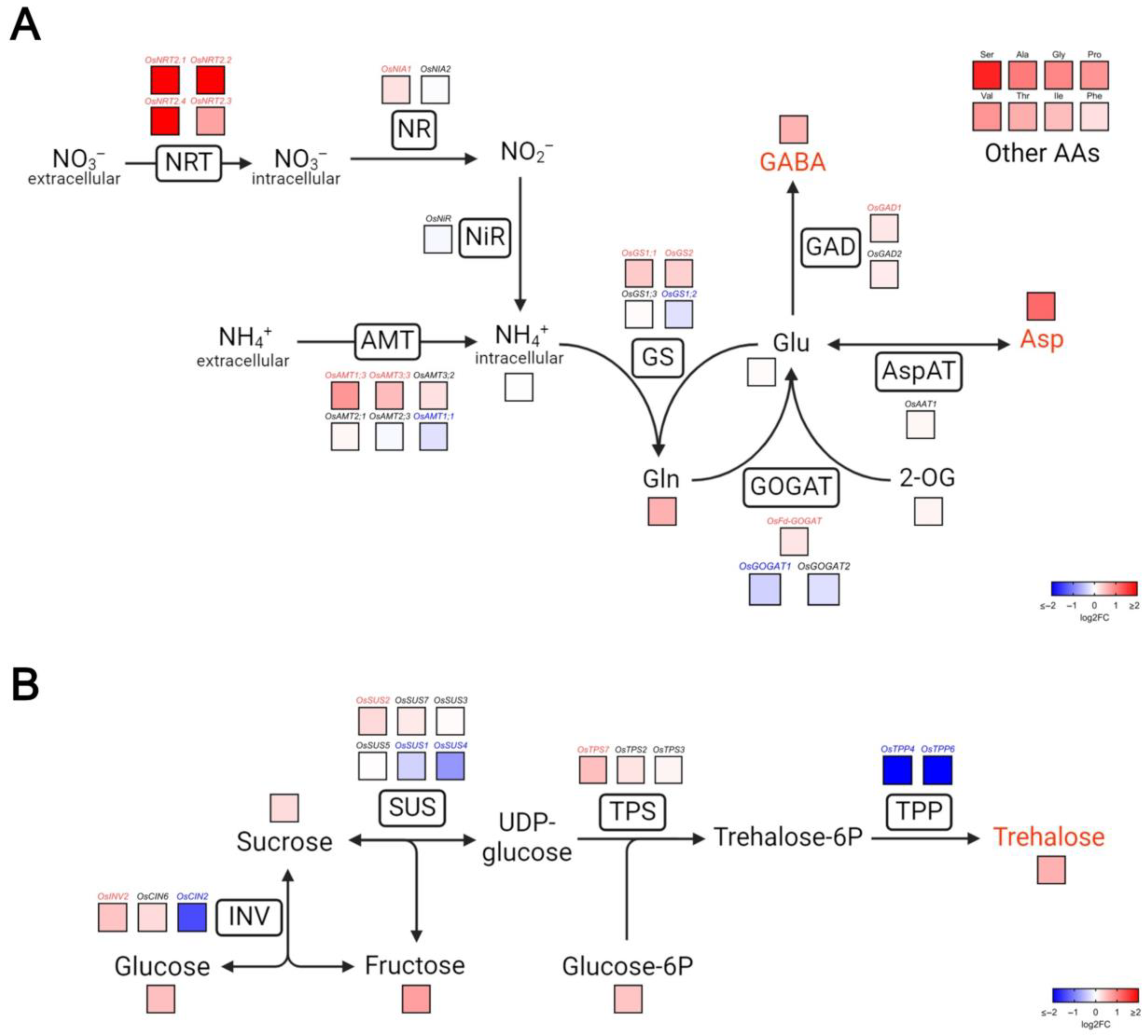 Plants 14 03628 g006