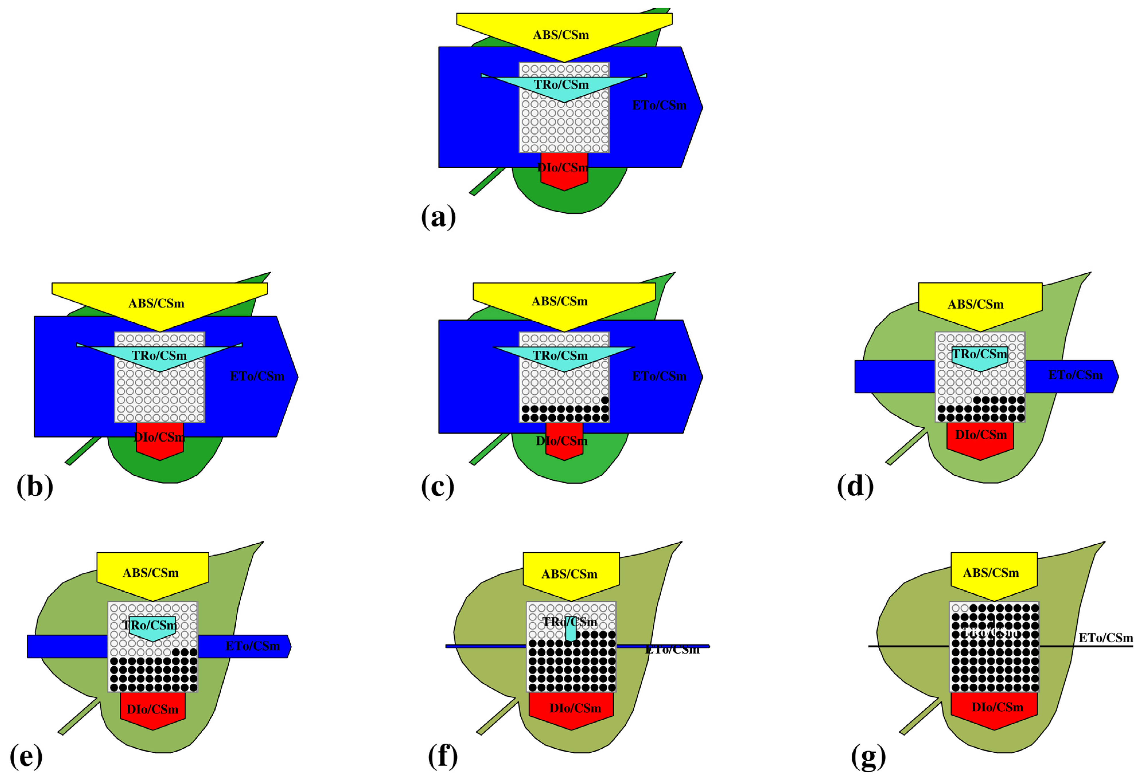 Plants 14 03629 g005
