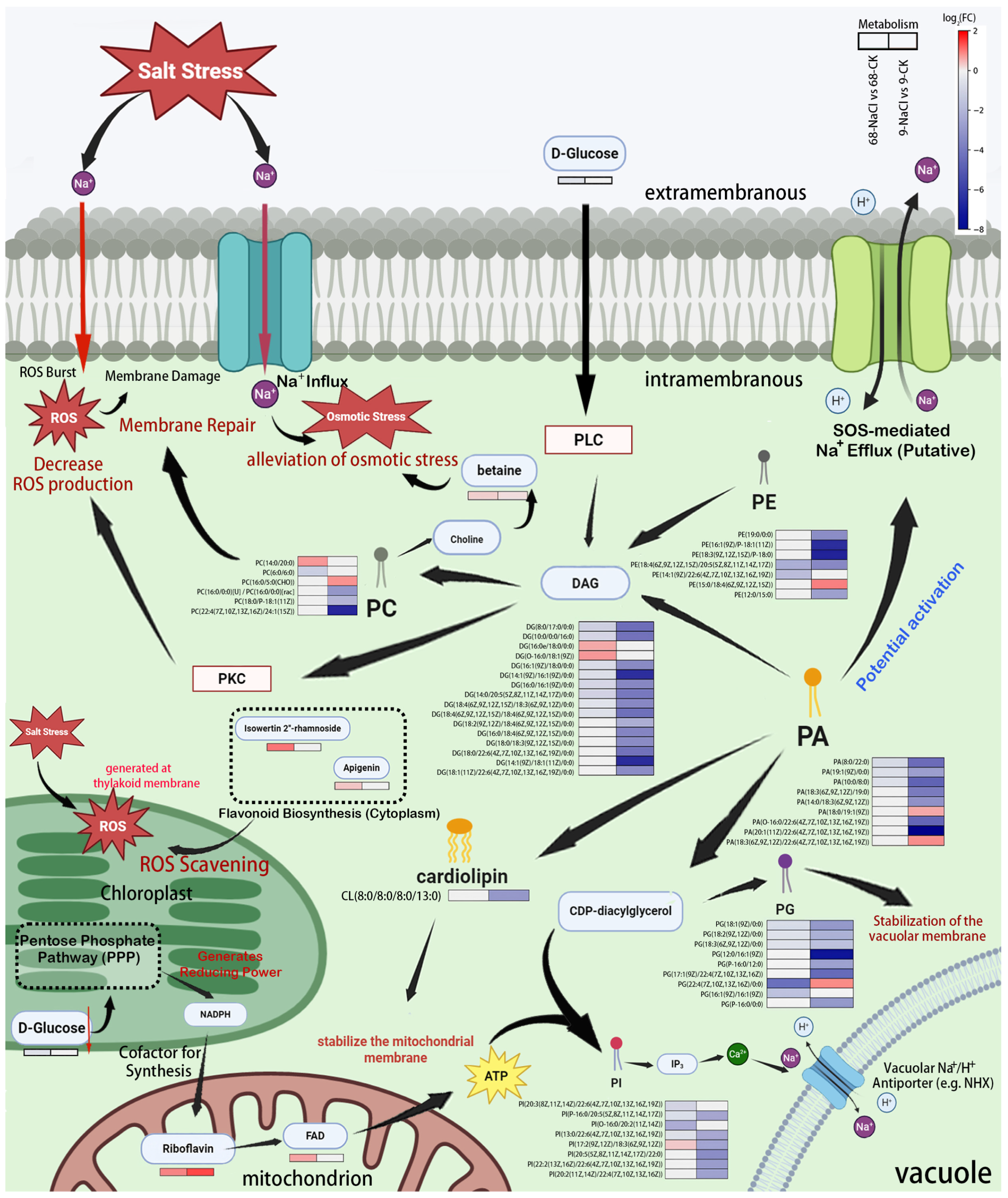 Plants 14 03630 g006