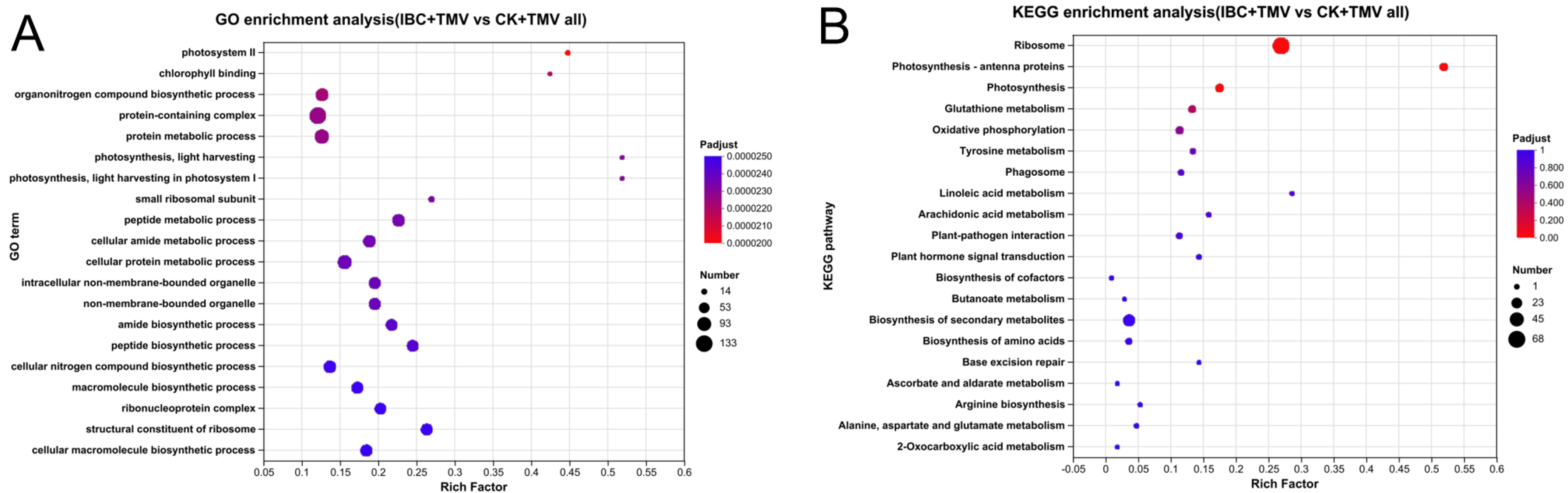 Plants 14 03638 g004