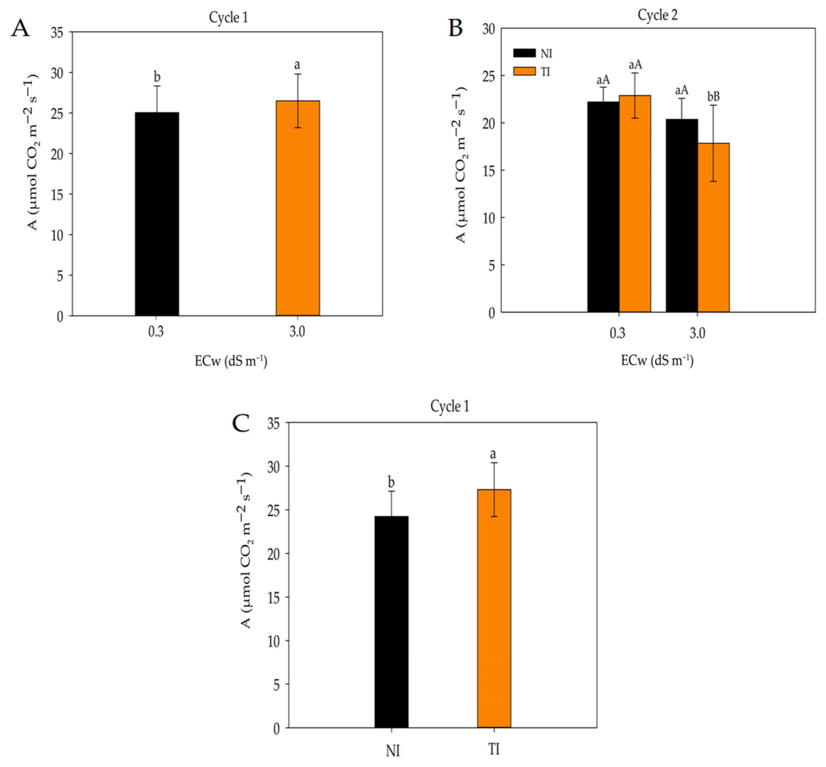 Plants 14 03643 g005