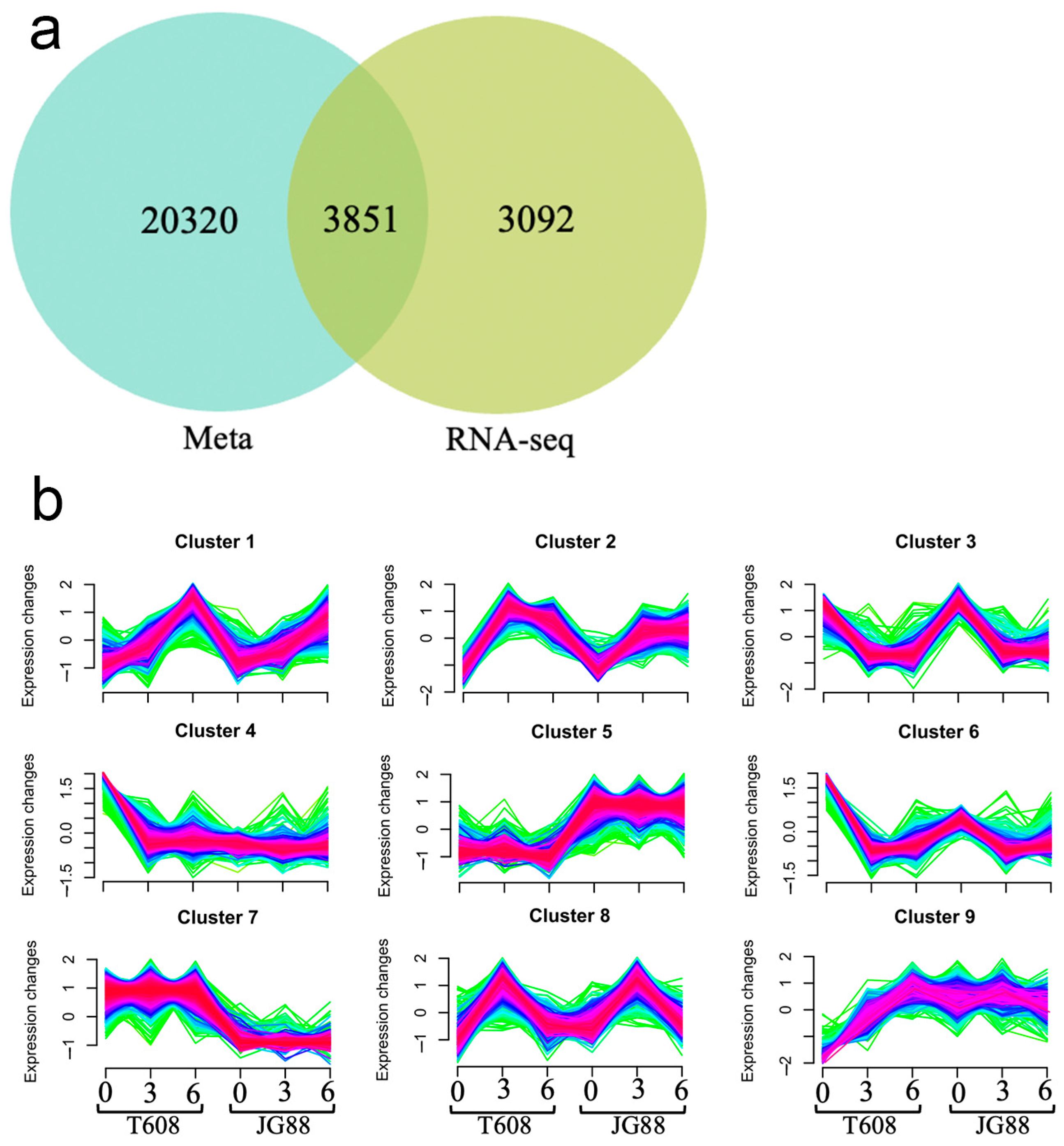 Plants 14 03645 g008 Plants 14 03645 g008