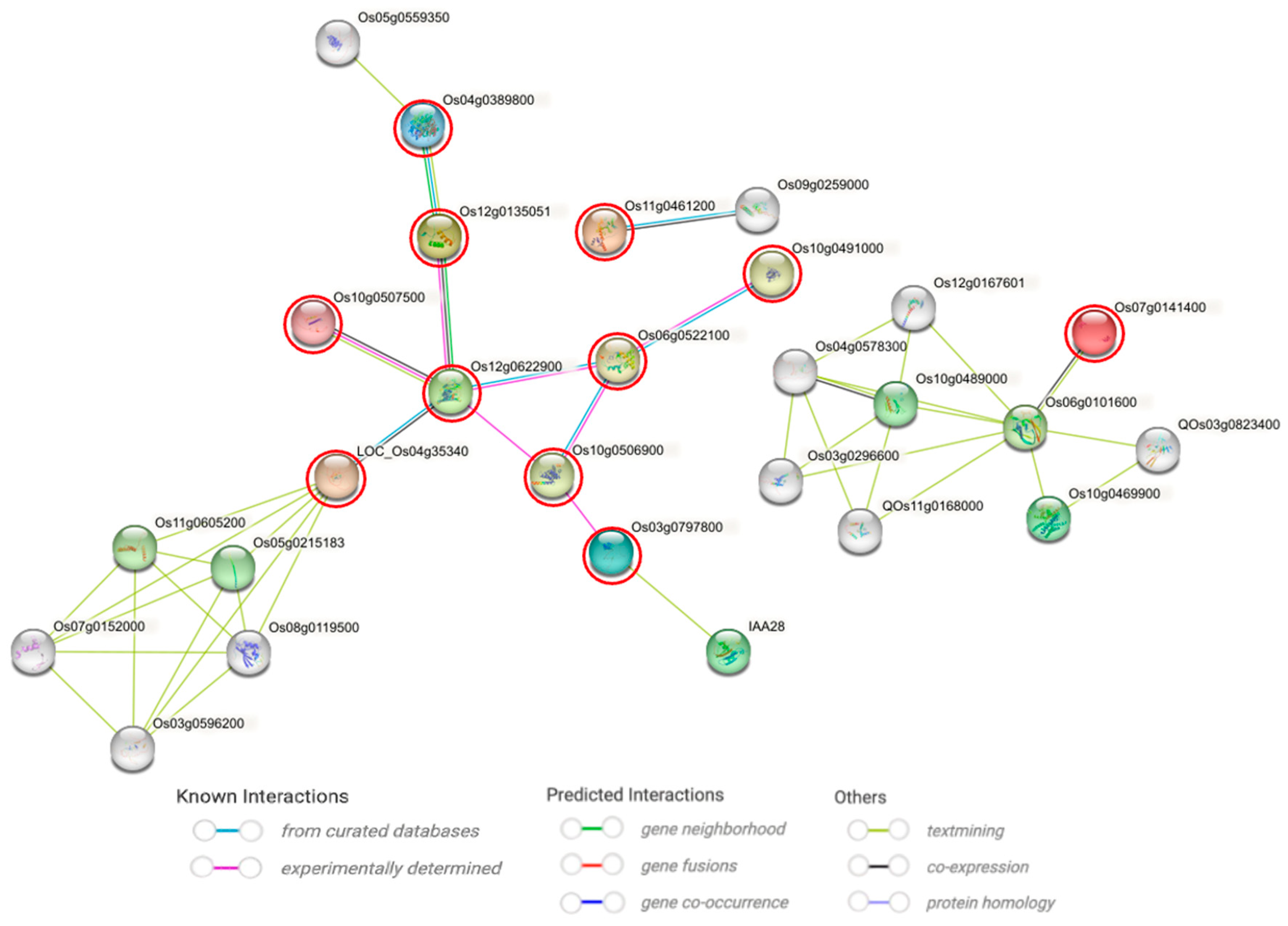 Plants 14 03645 g009 Plants 14 03645 g009