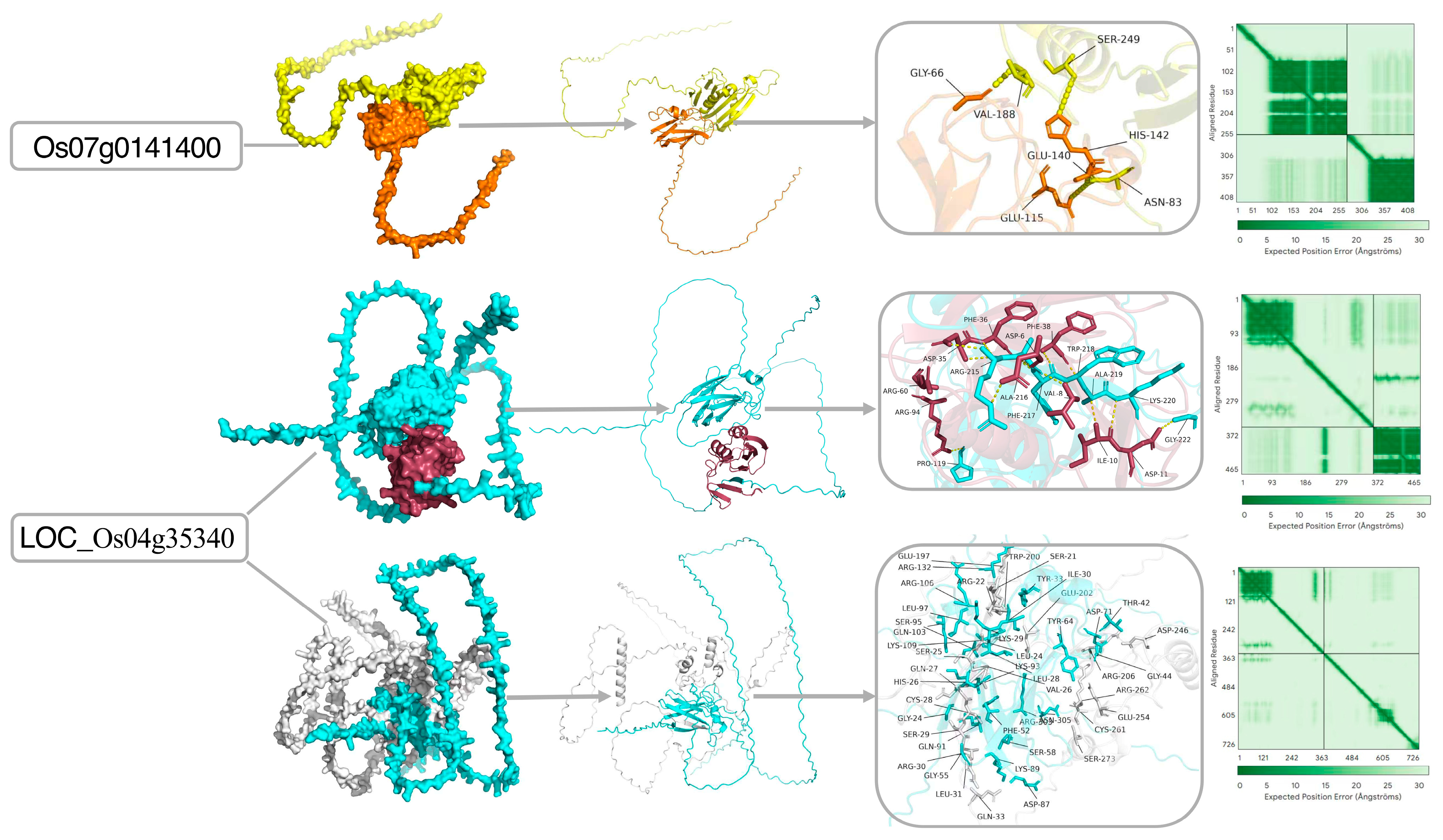 Plants 14 03645 g010 Plants 14 03645 g010