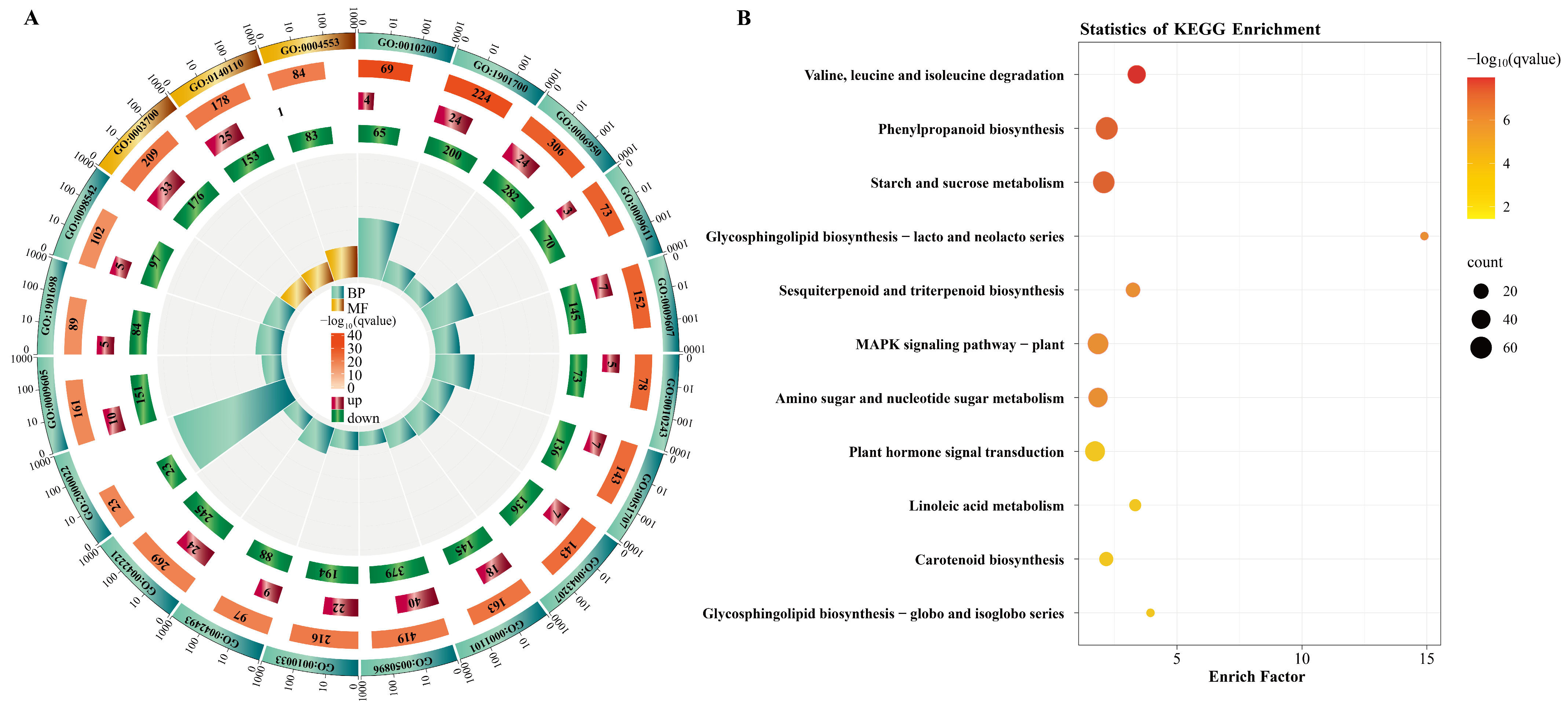 Plants 14 03646 g001 Plants 14 03646 g001