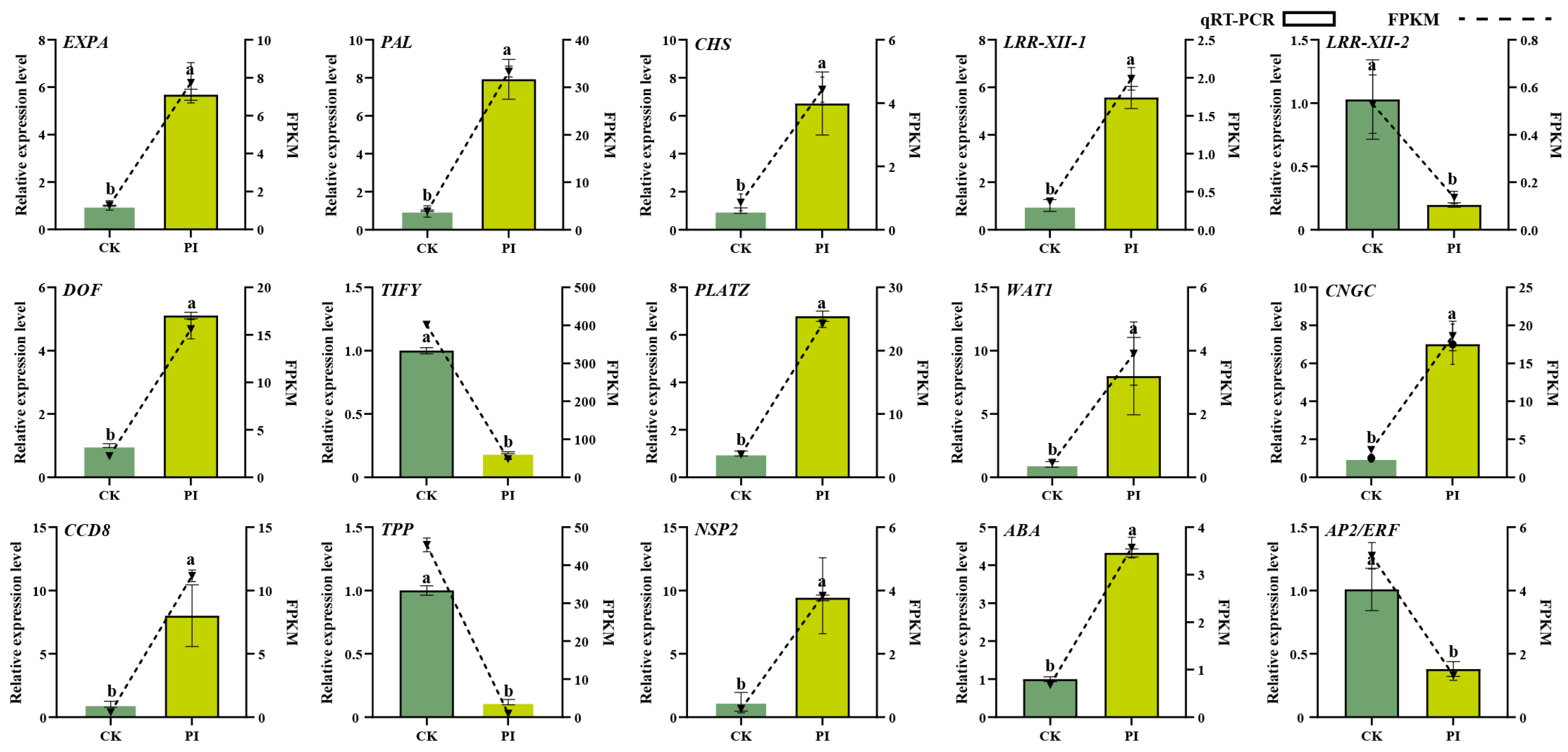 Plants 14 03646 g002 Plants 14 03646 g002