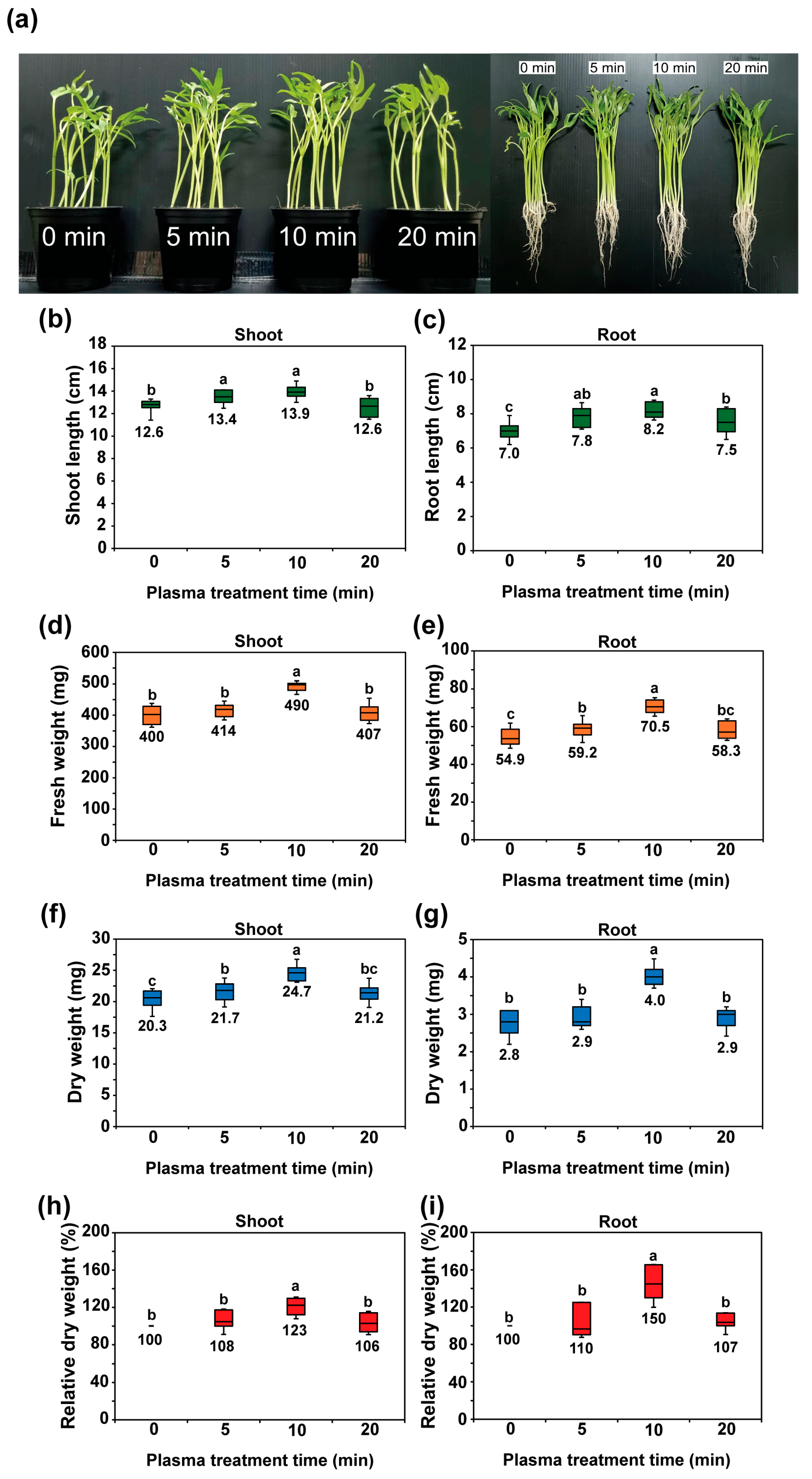Plants 14 03648 g003 Plants 14 03648 g003