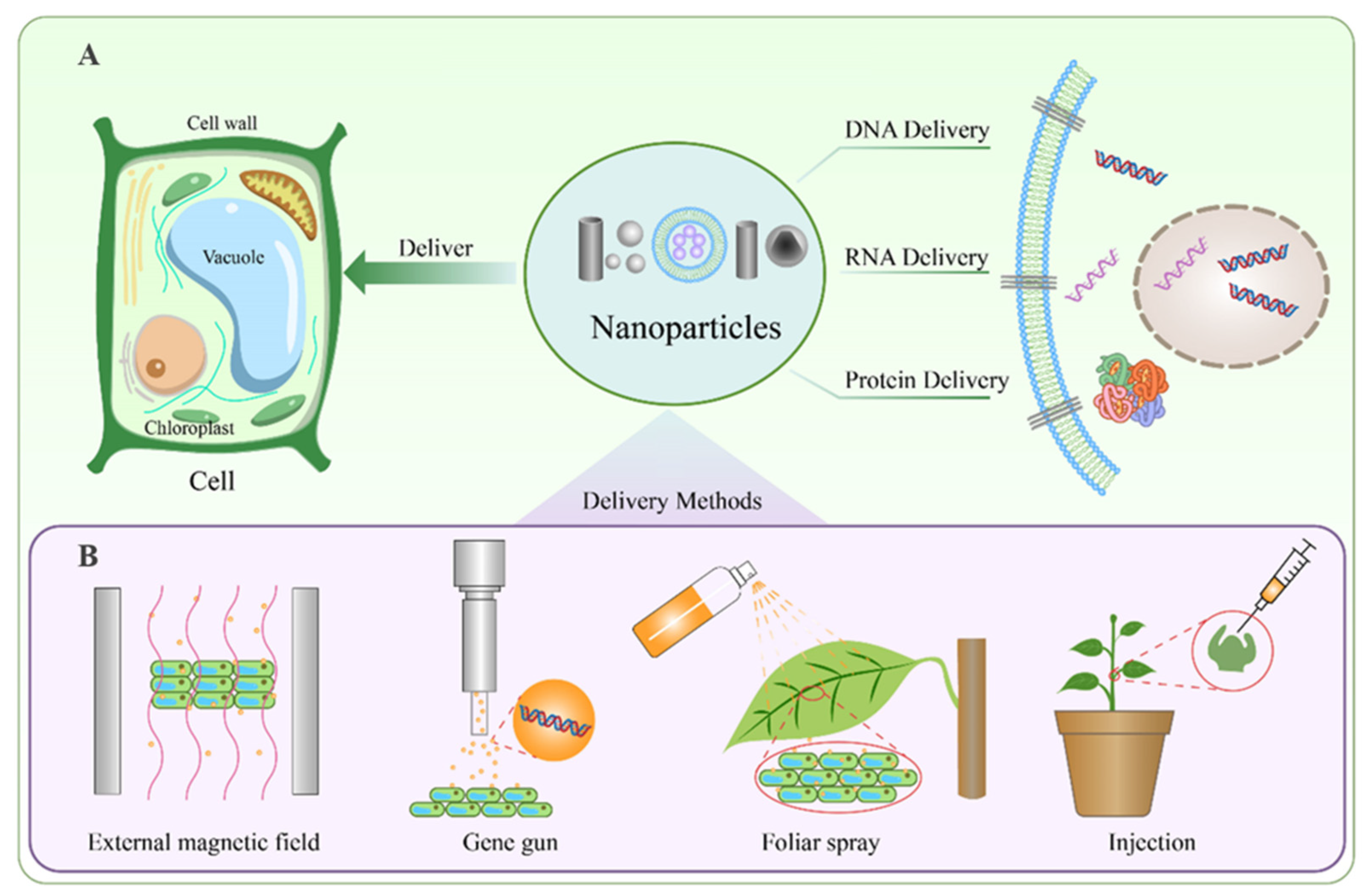 Plants 14 03649 g002 Plants 14 03649 g002
