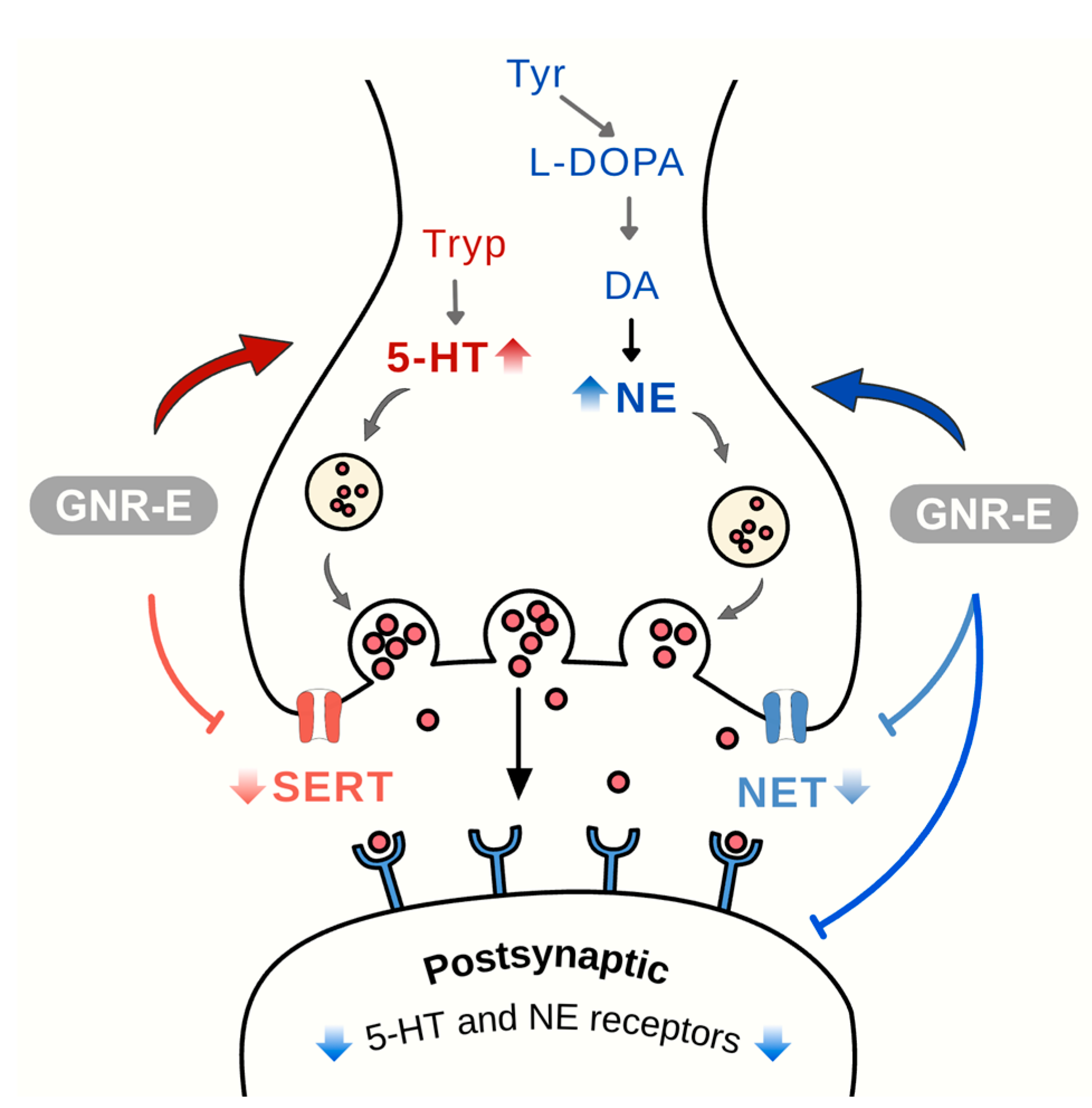 Plants 14 03651 g009 Plants 14 03651 g009
