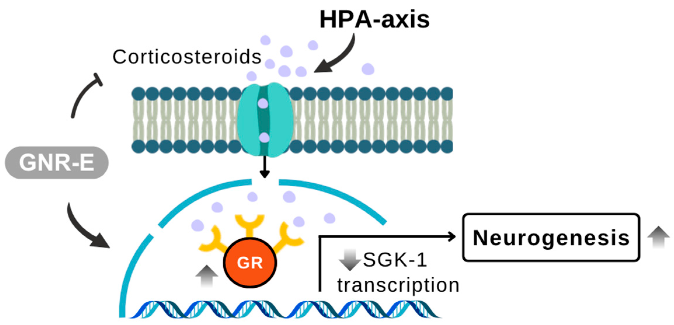 Plants 14 03651 g010 Plants 14 03651 g010
