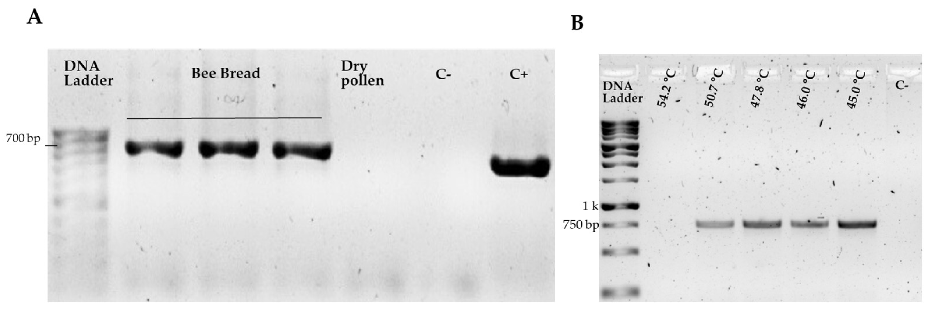 Plants 14 03652 g002 Plants 14 03652 g002