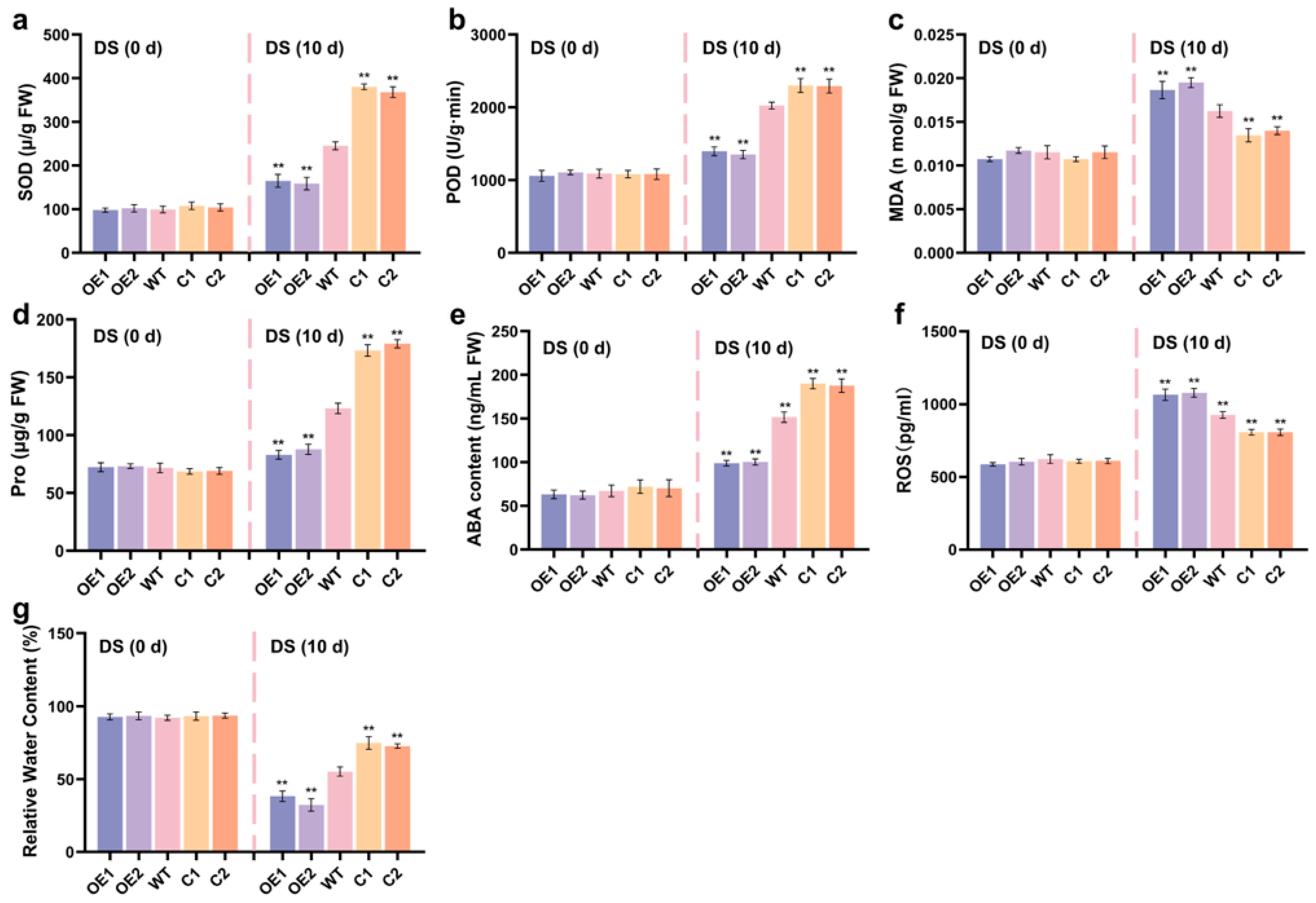 Plants 14 03656 g005