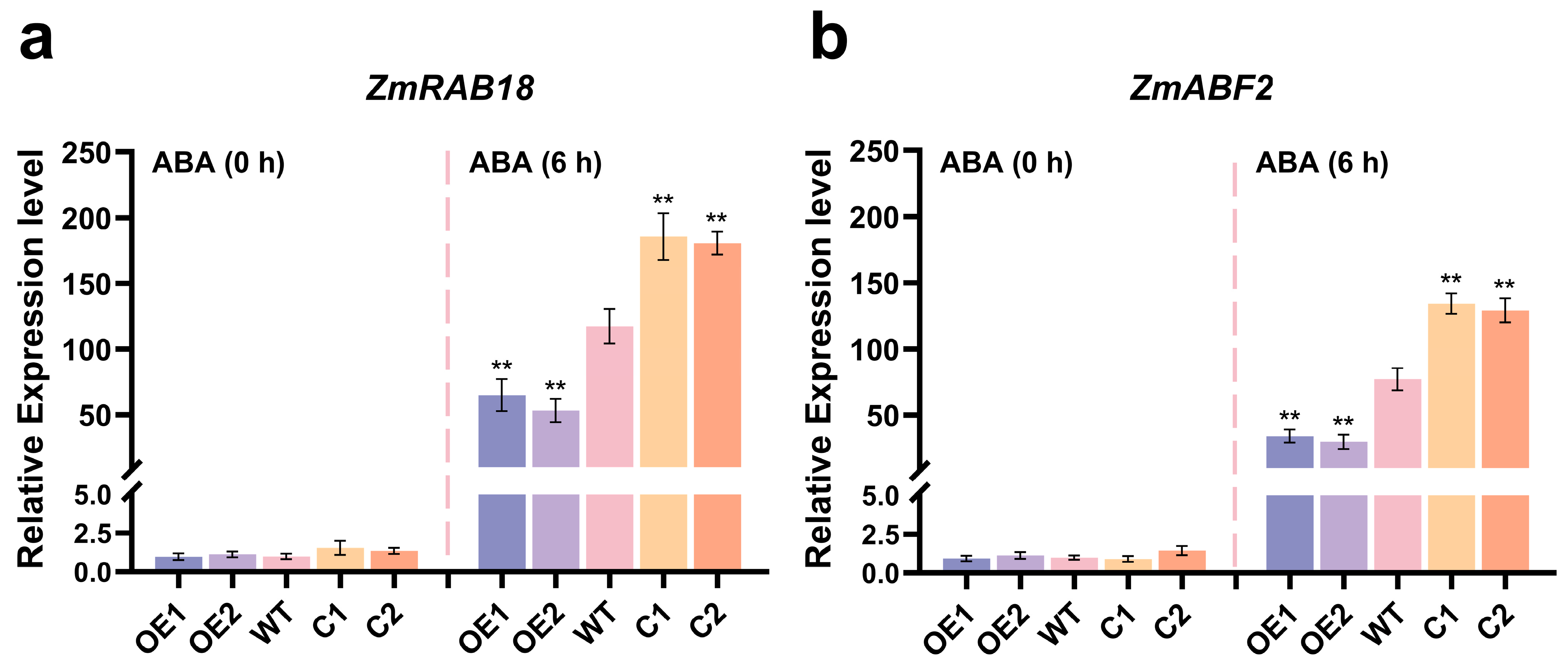 Plants 14 03656 g007