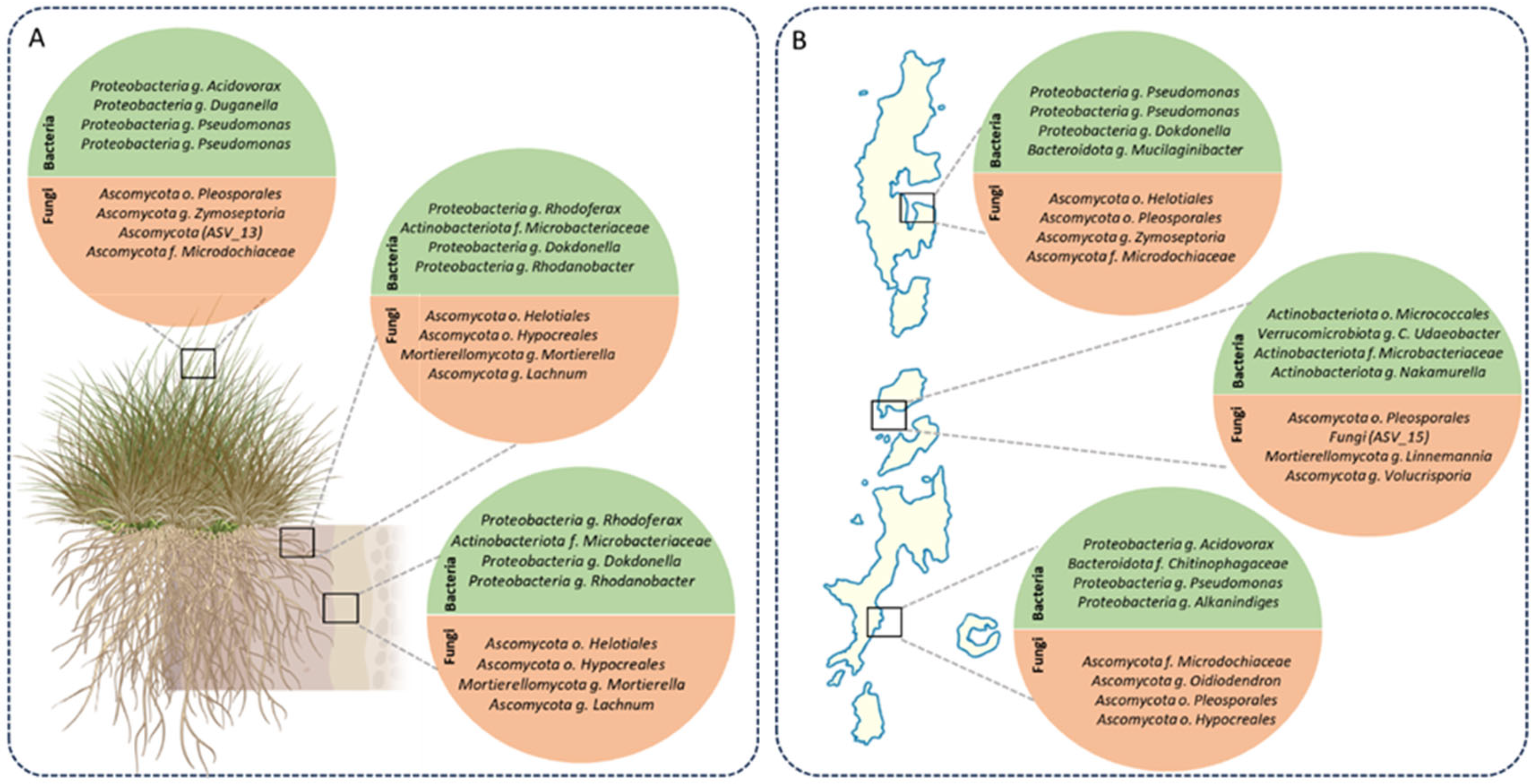 Plants 14 03657 g003 Plants 14 03657 g003