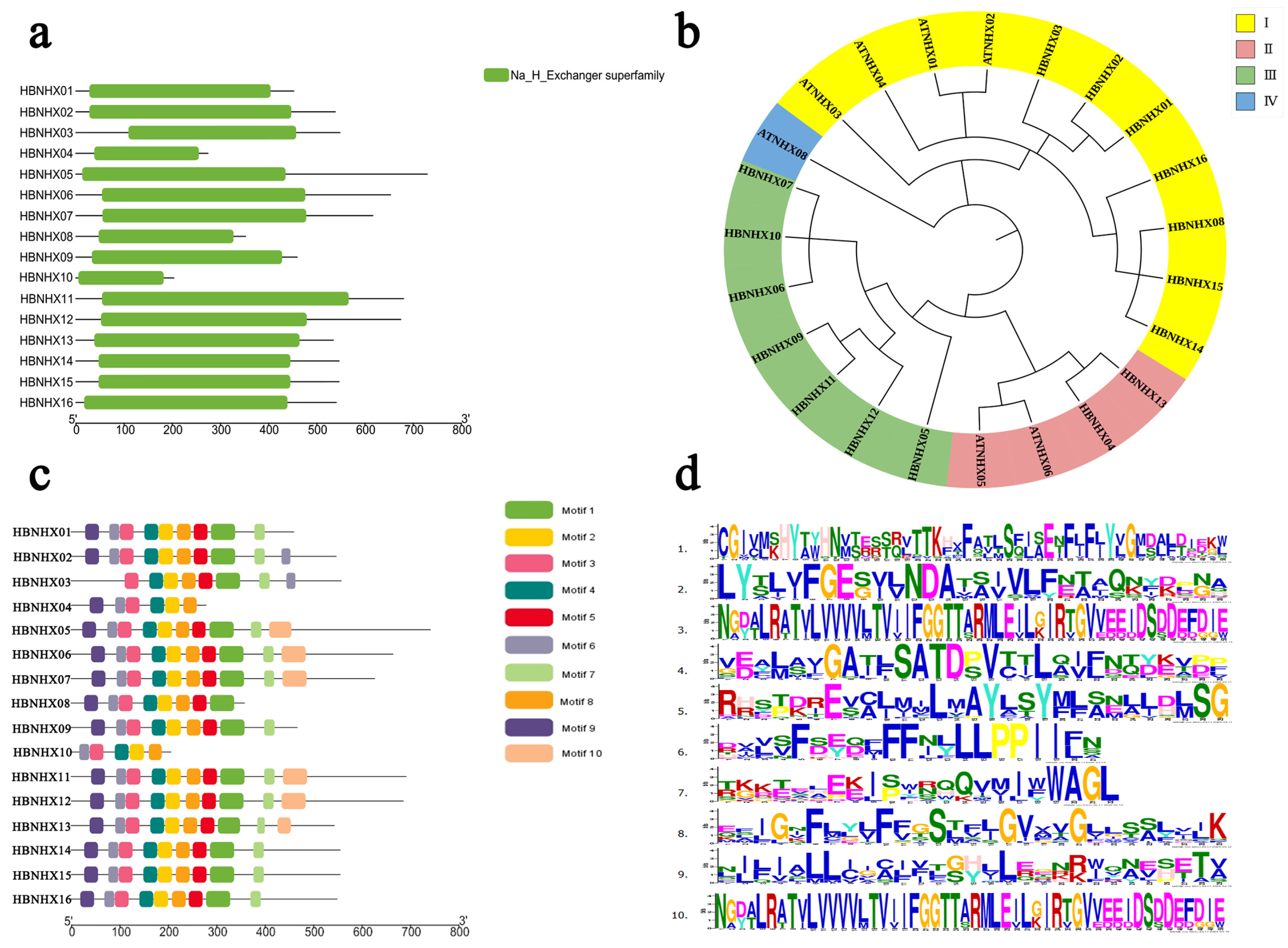 Plants 14 03658 g001 Plants 14 03658 g001