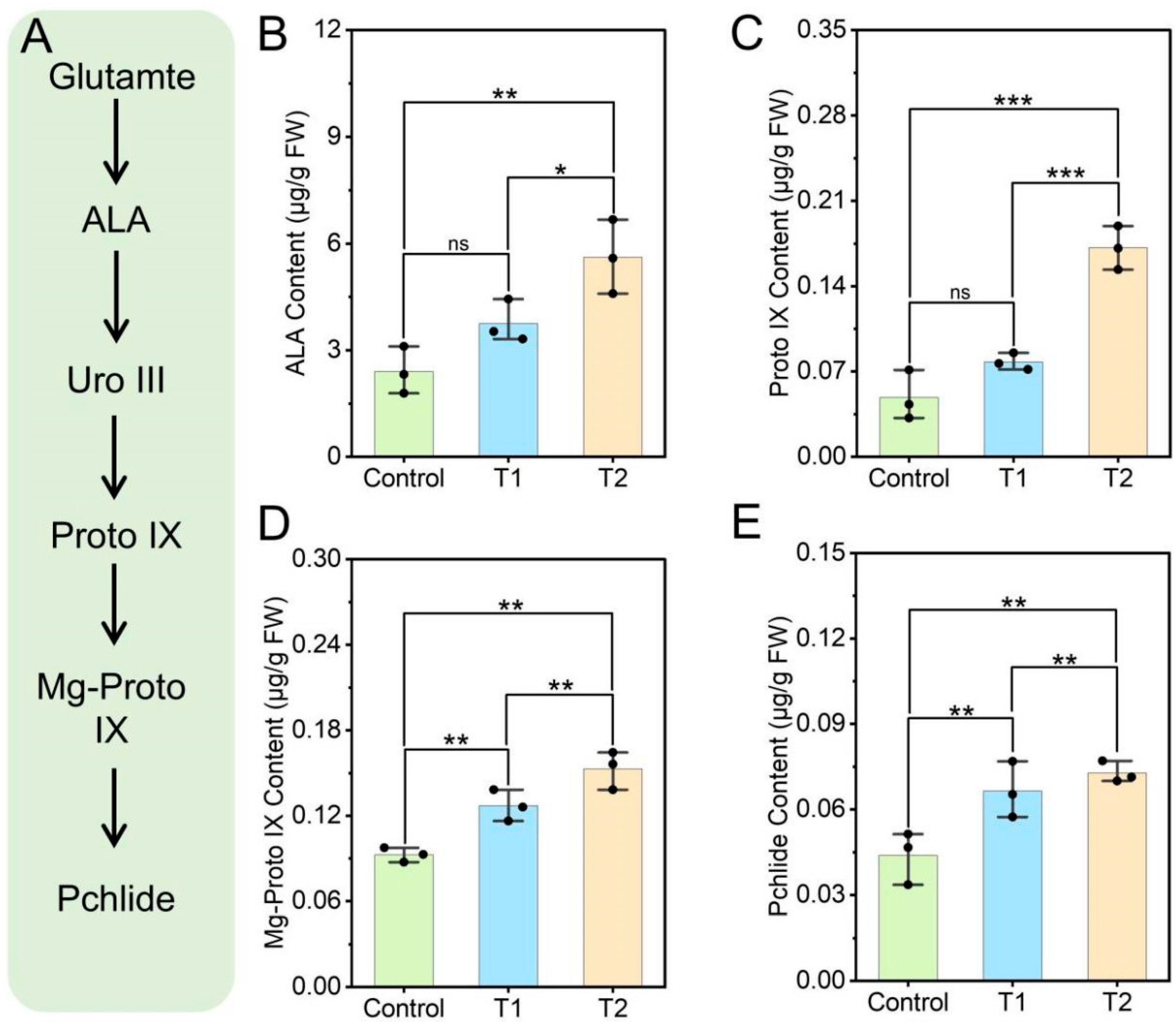Plants 14 03659 g003
