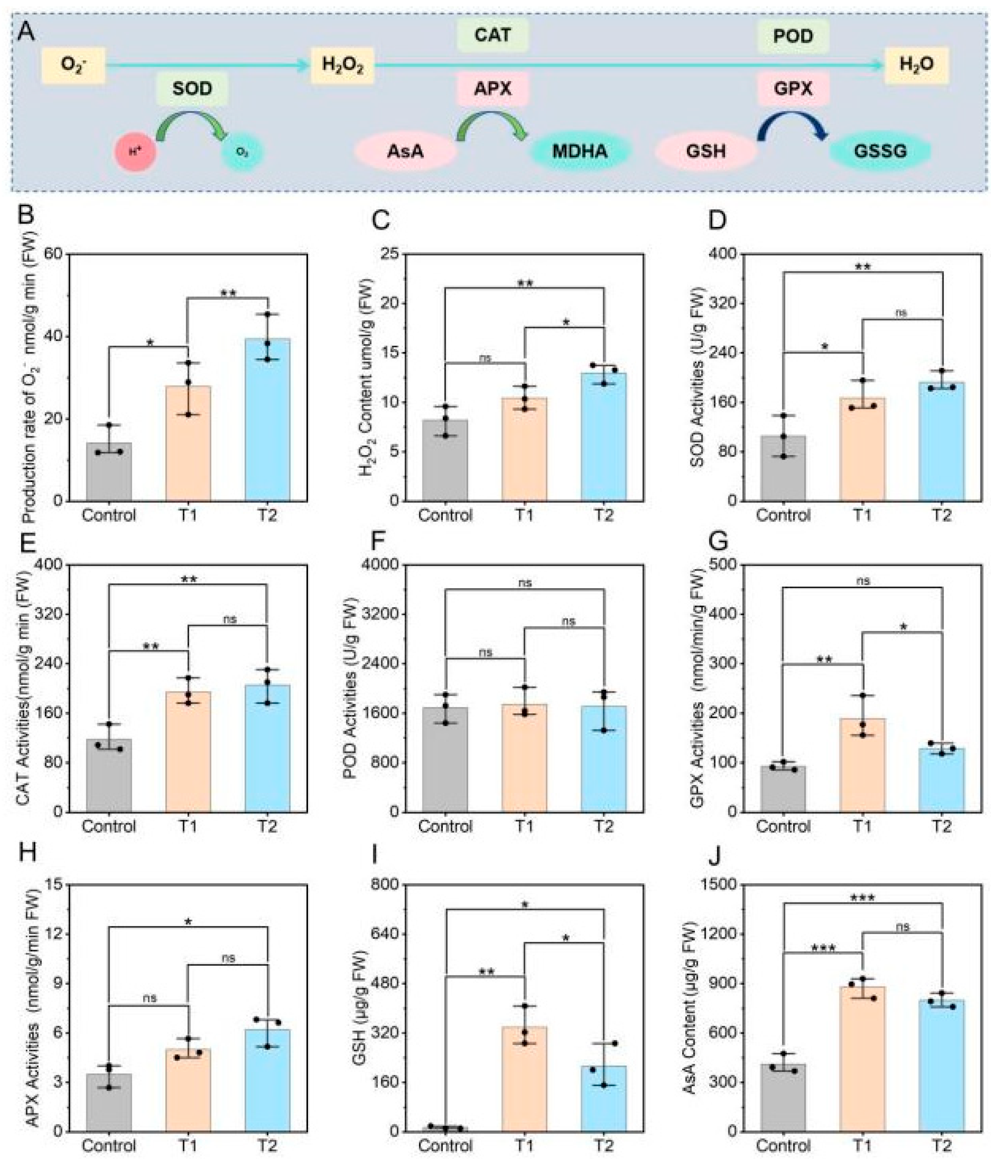Plants 14 03659 g005