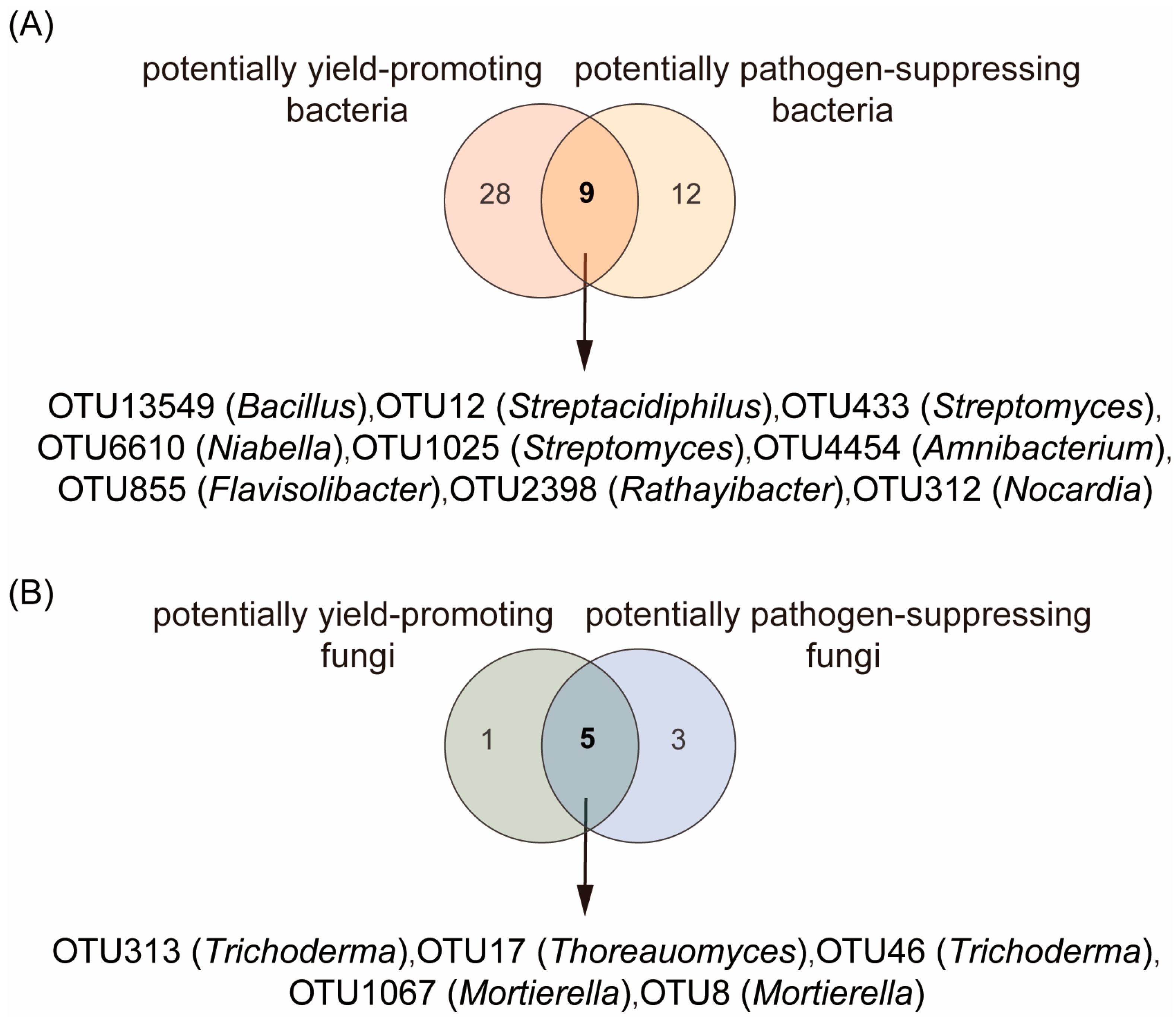 Plants 14 03660 g003