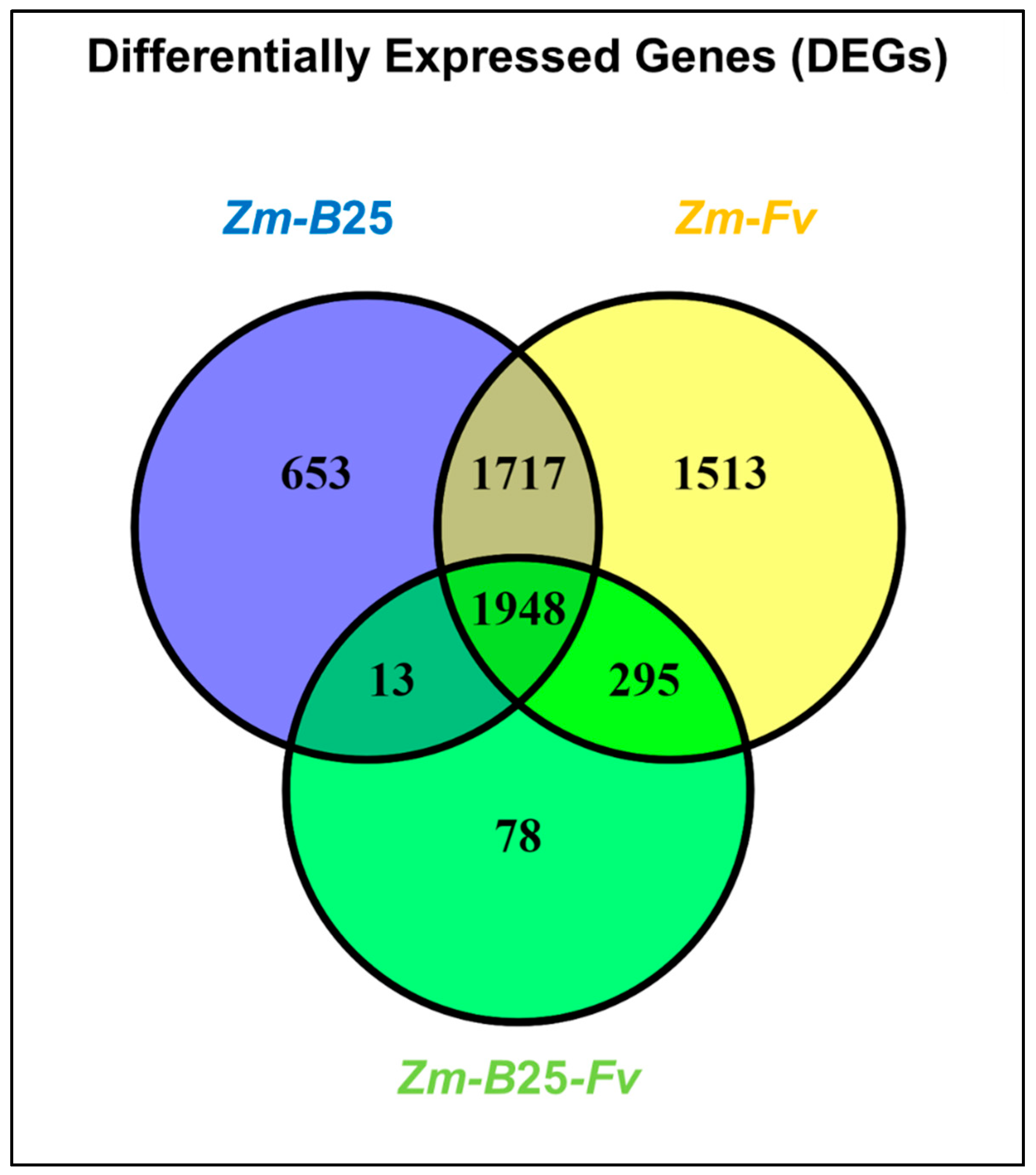 Plants 14 03661 g002 Plants 14 03661 g002