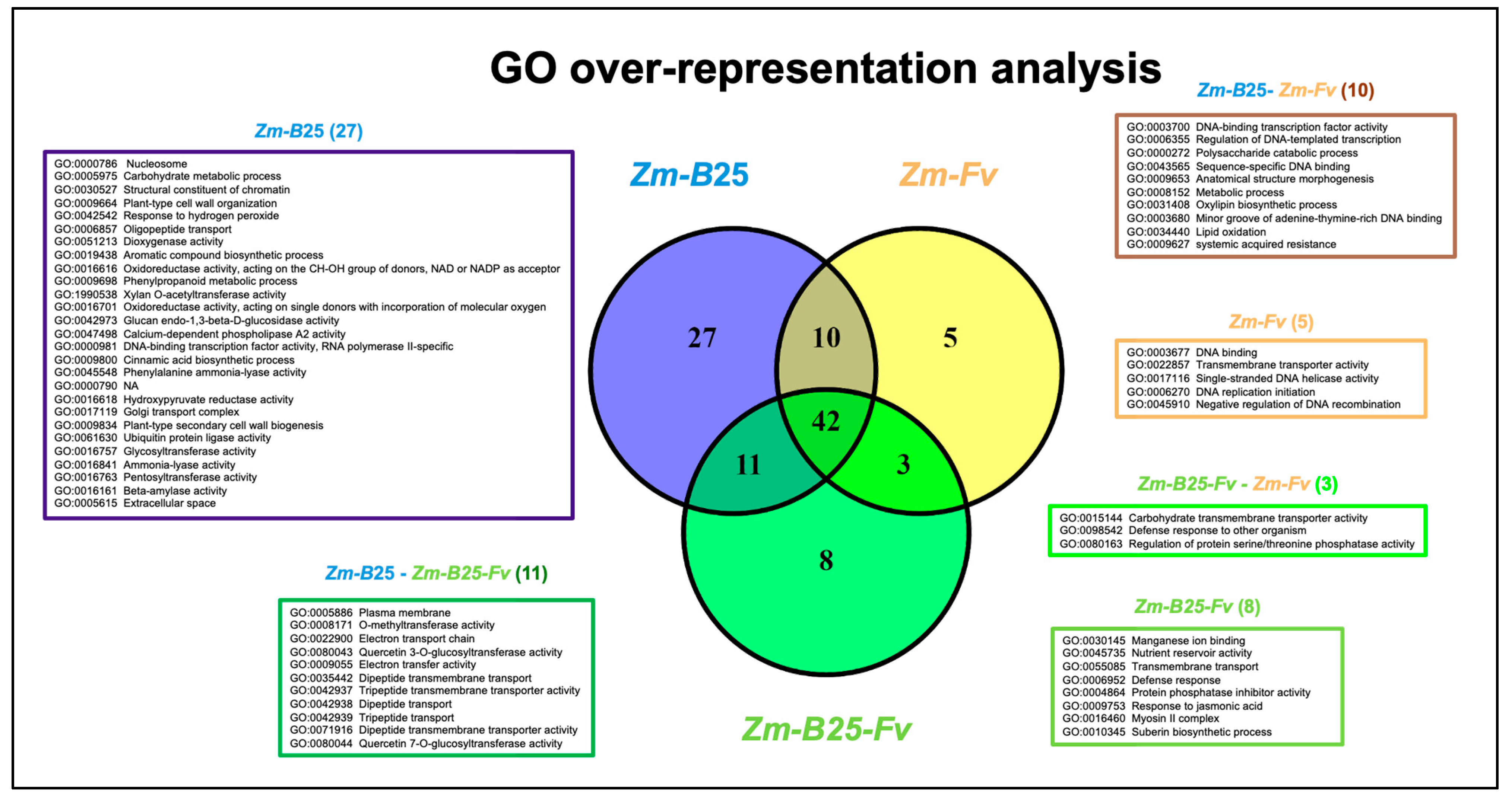 Plants 14 03661 g003 Plants 14 03661 g003