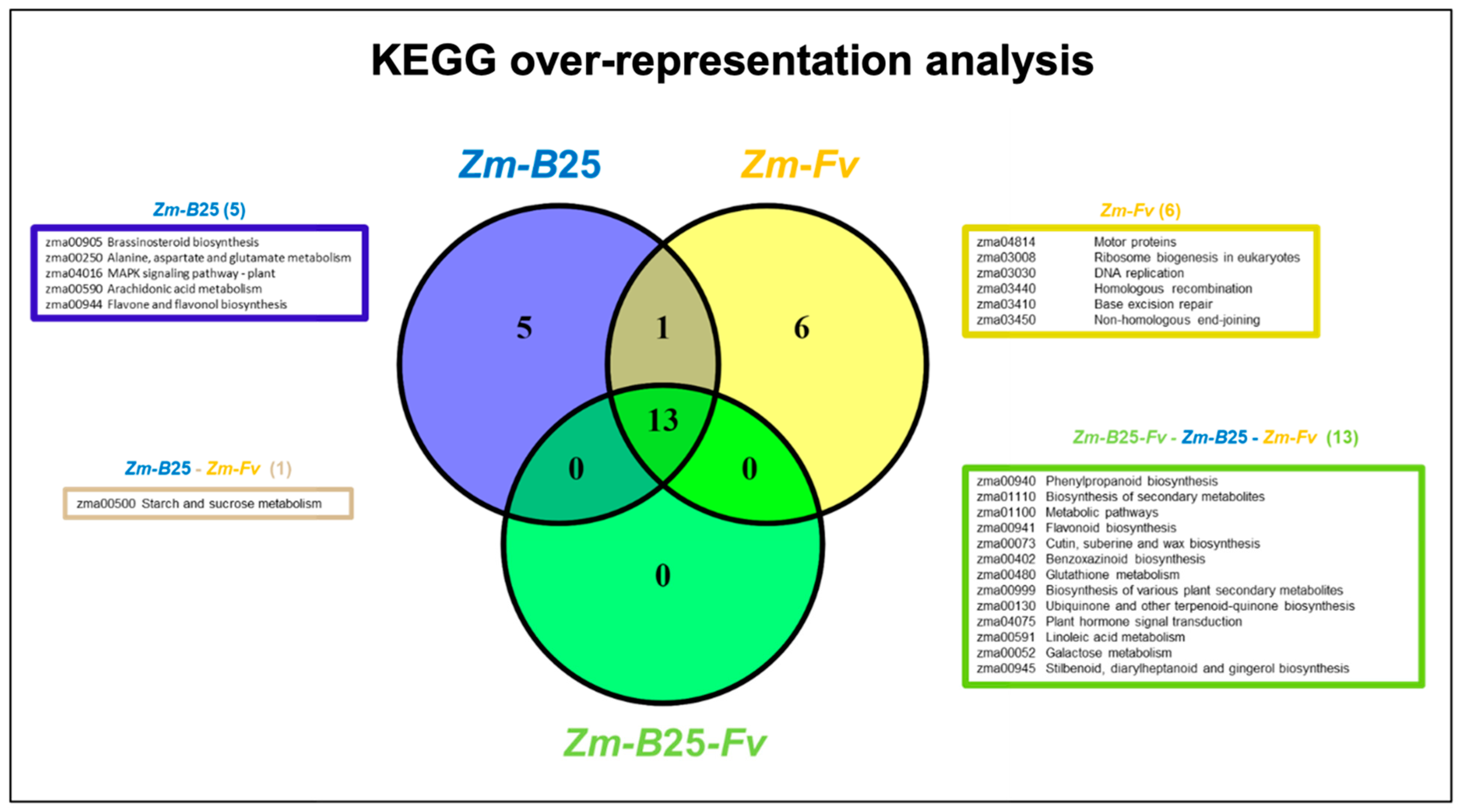 Plants 14 03661 g004 Plants 14 03661 g004
