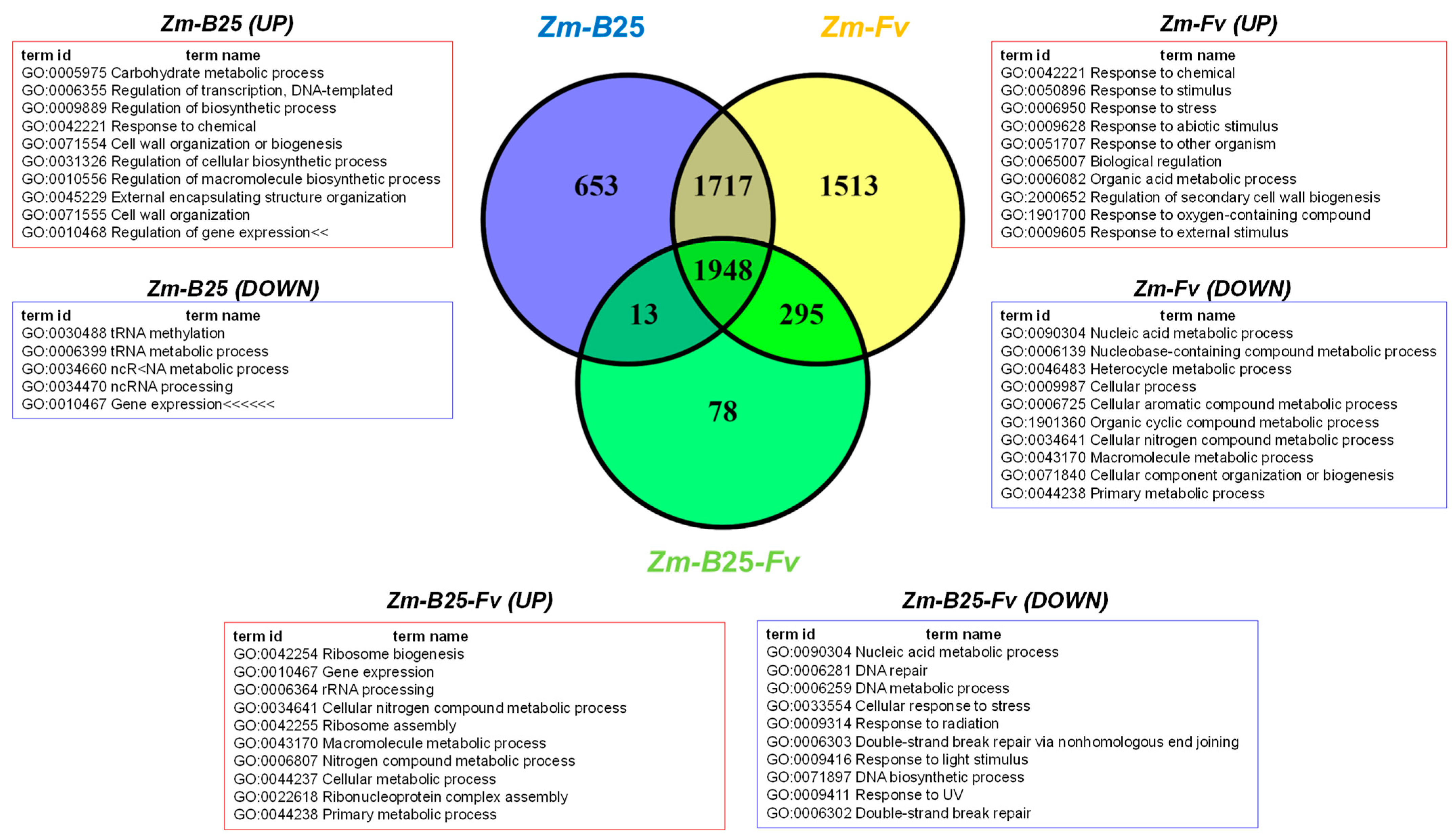 Plants 14 03661 g005 Plants 14 03661 g005