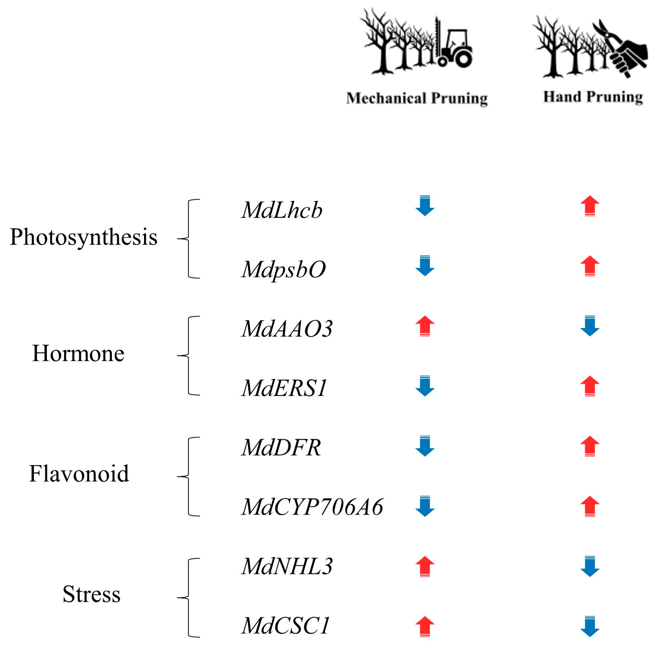 Plants 14 03663 g005