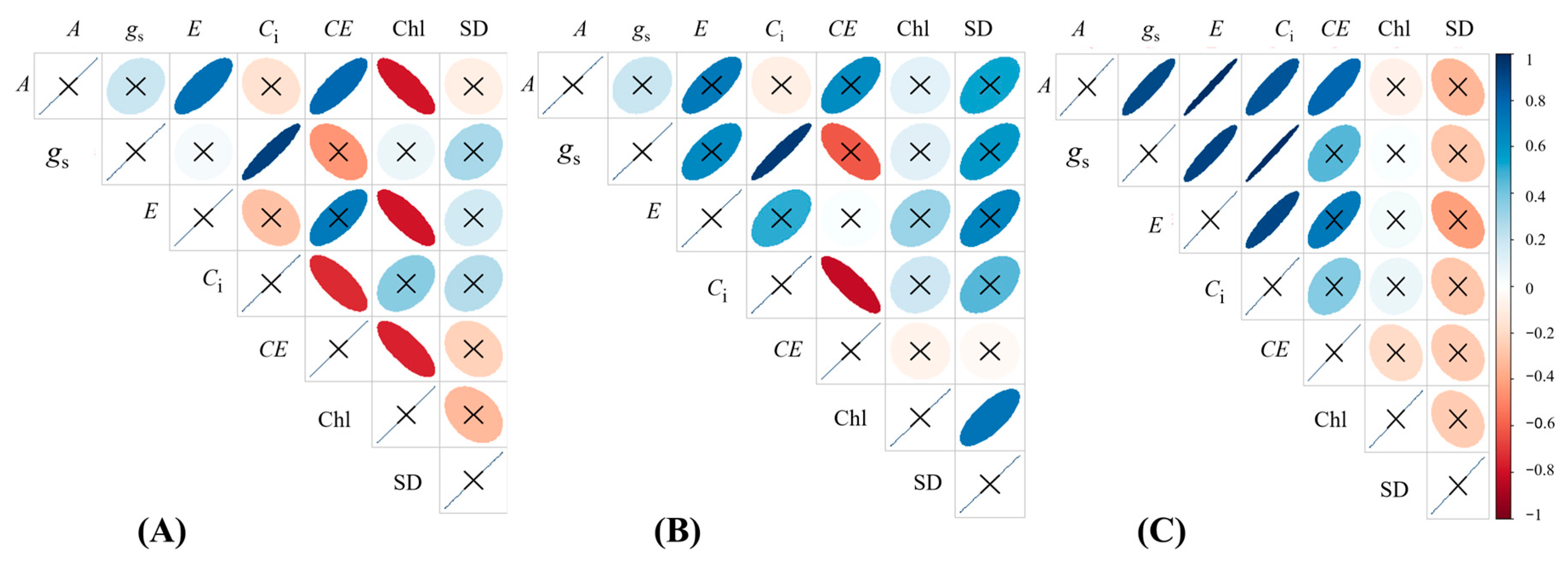 Plants 14 03666 g008