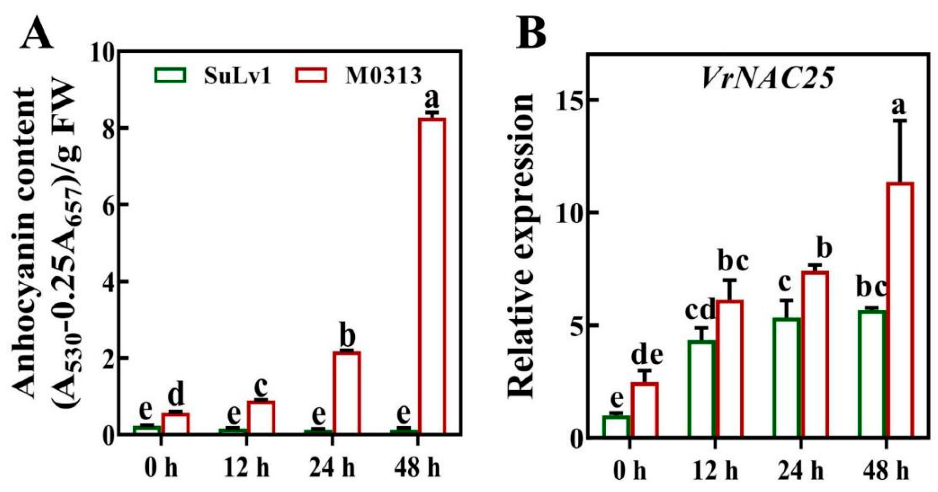 Plants 14 03667 g002