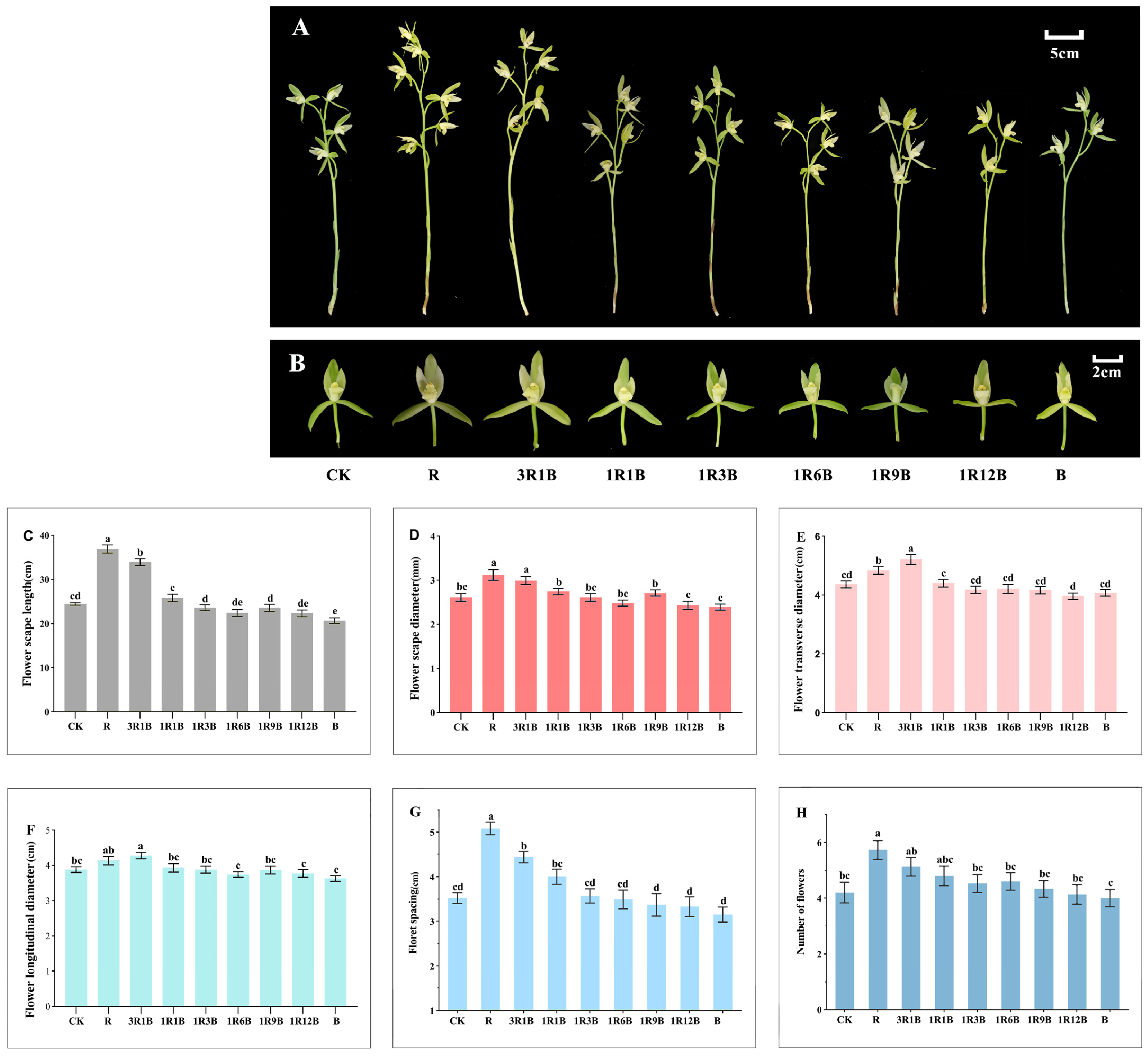 Plants 14 03670 g002 Plants 14 03670 g002