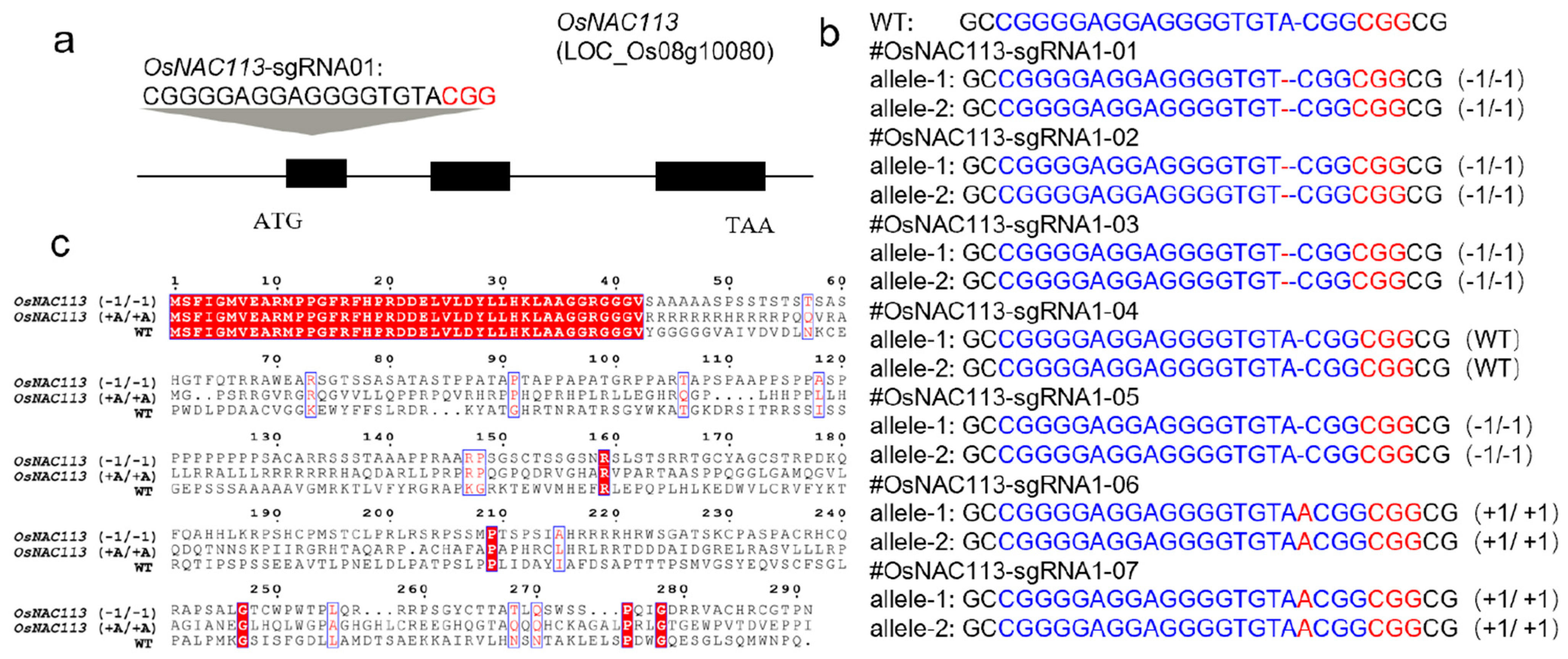 Plants 14 03673 g002