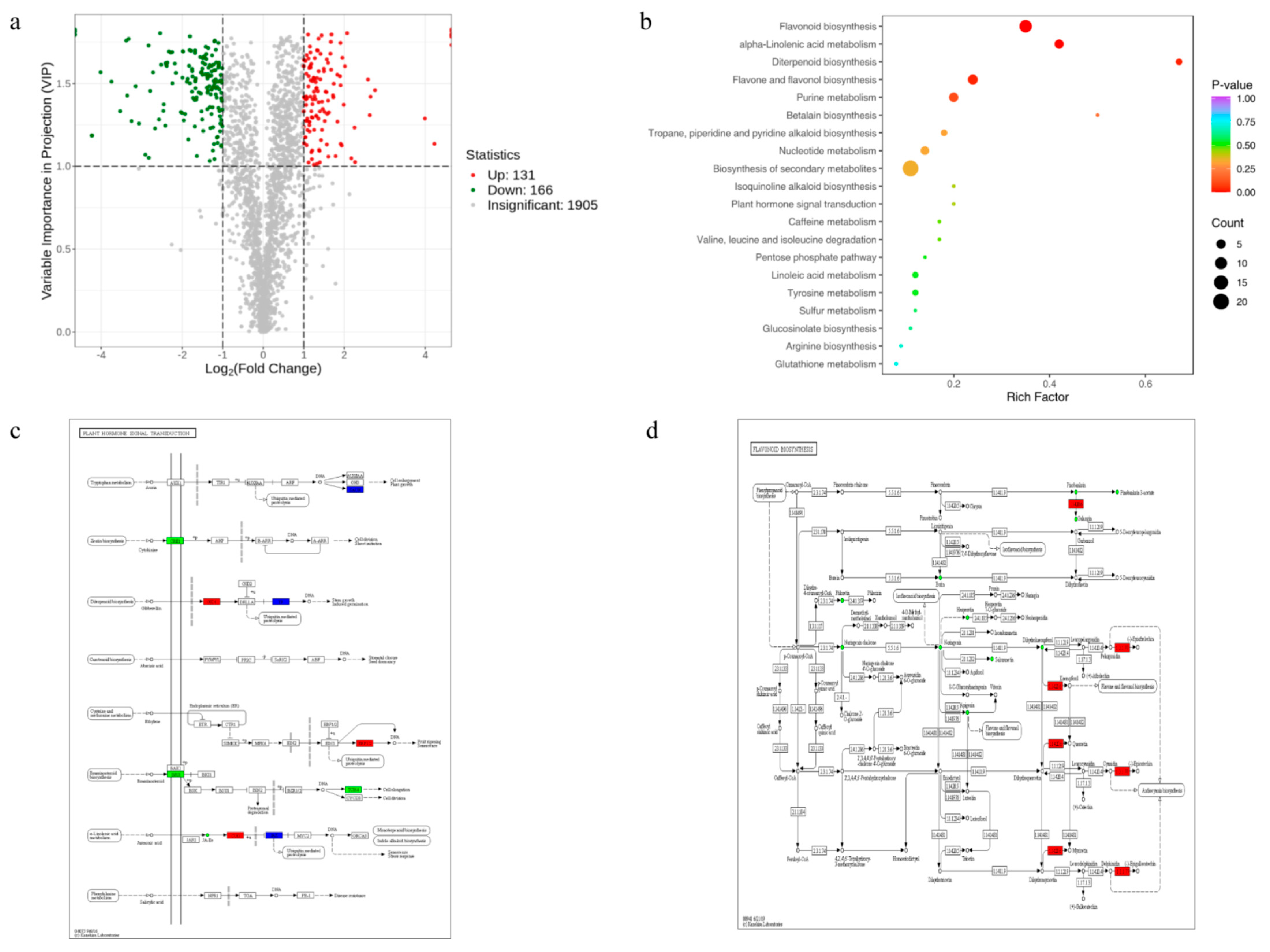Plants 14 03673 g006