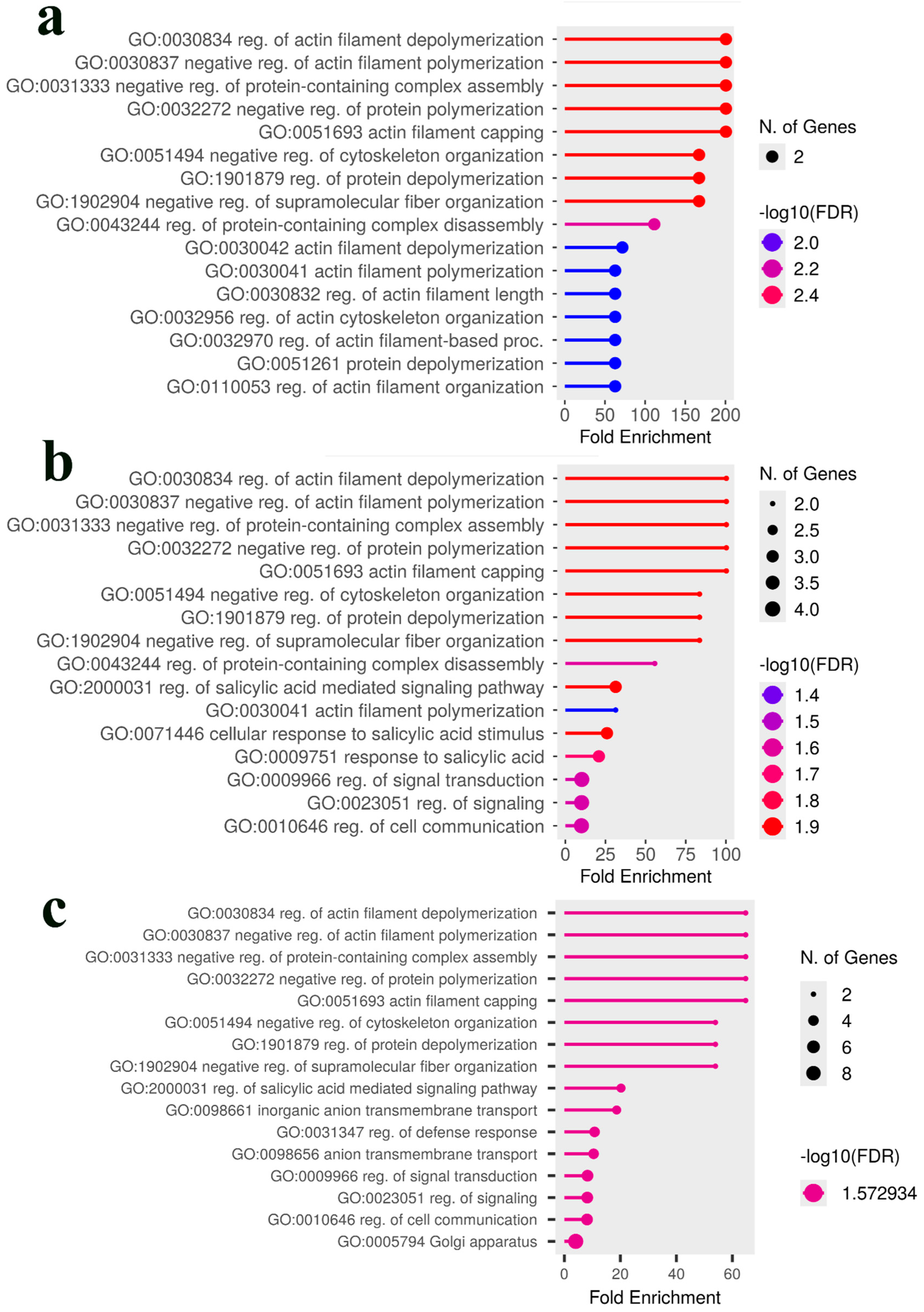 Plants 14 03675 g006