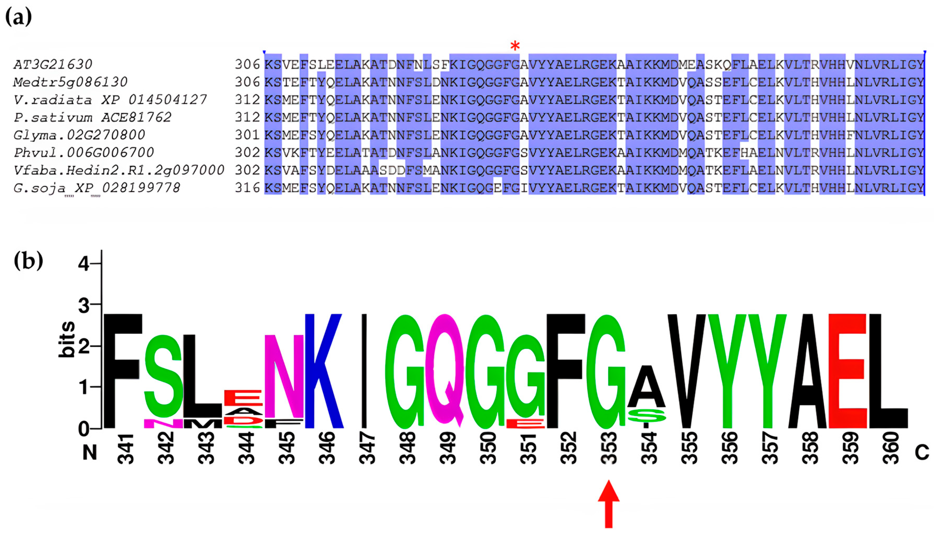 Plants 14 03676 g002
