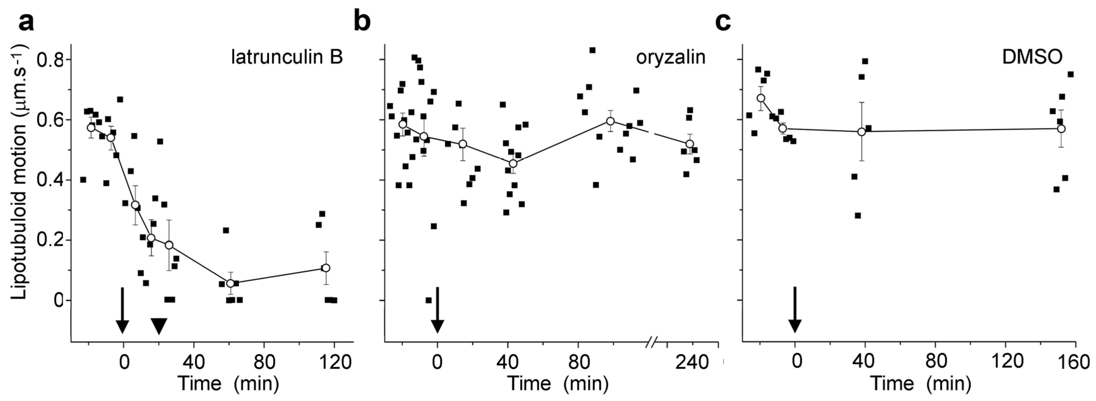 Plants 14 03677 g004