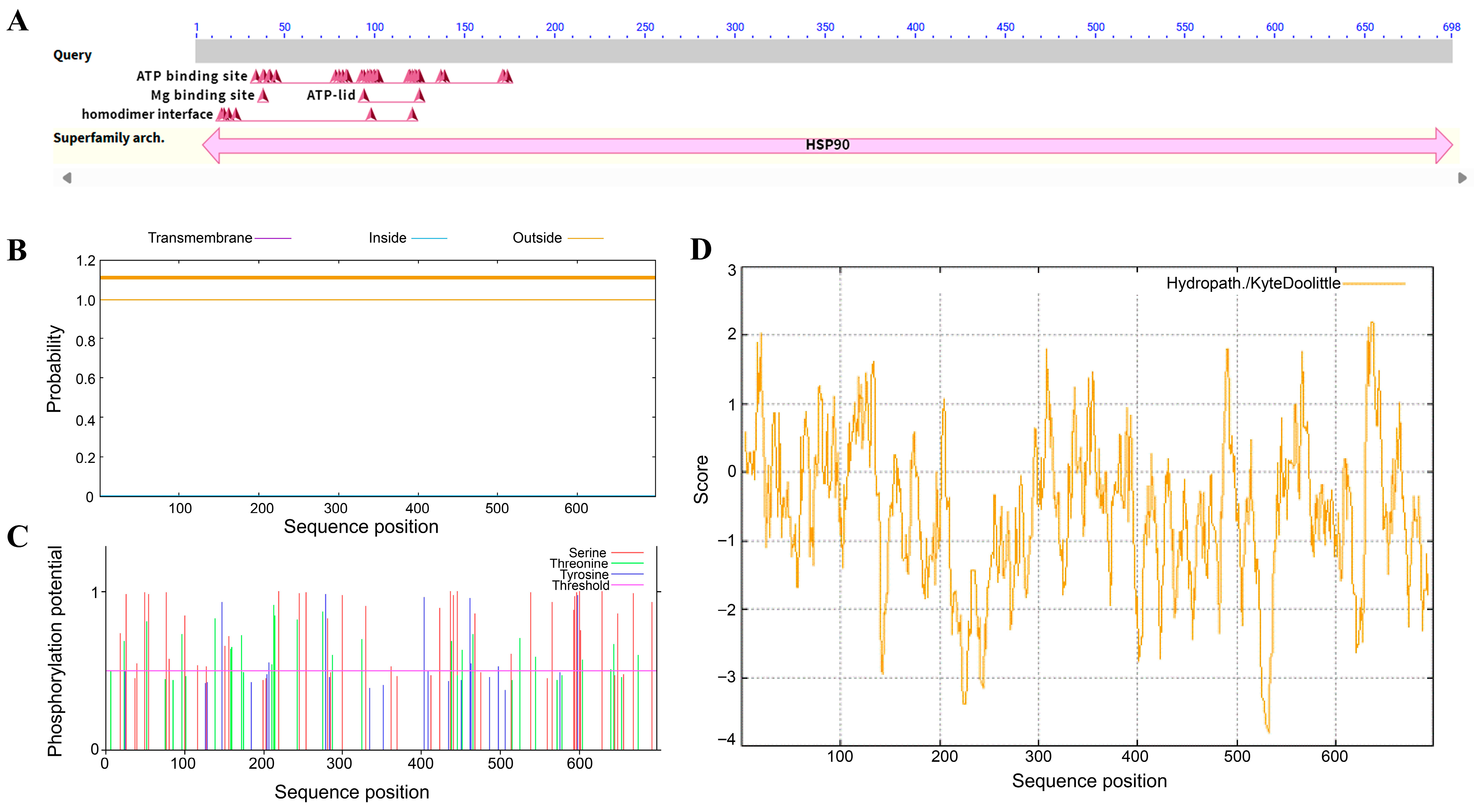 Plants 14 03679 g001