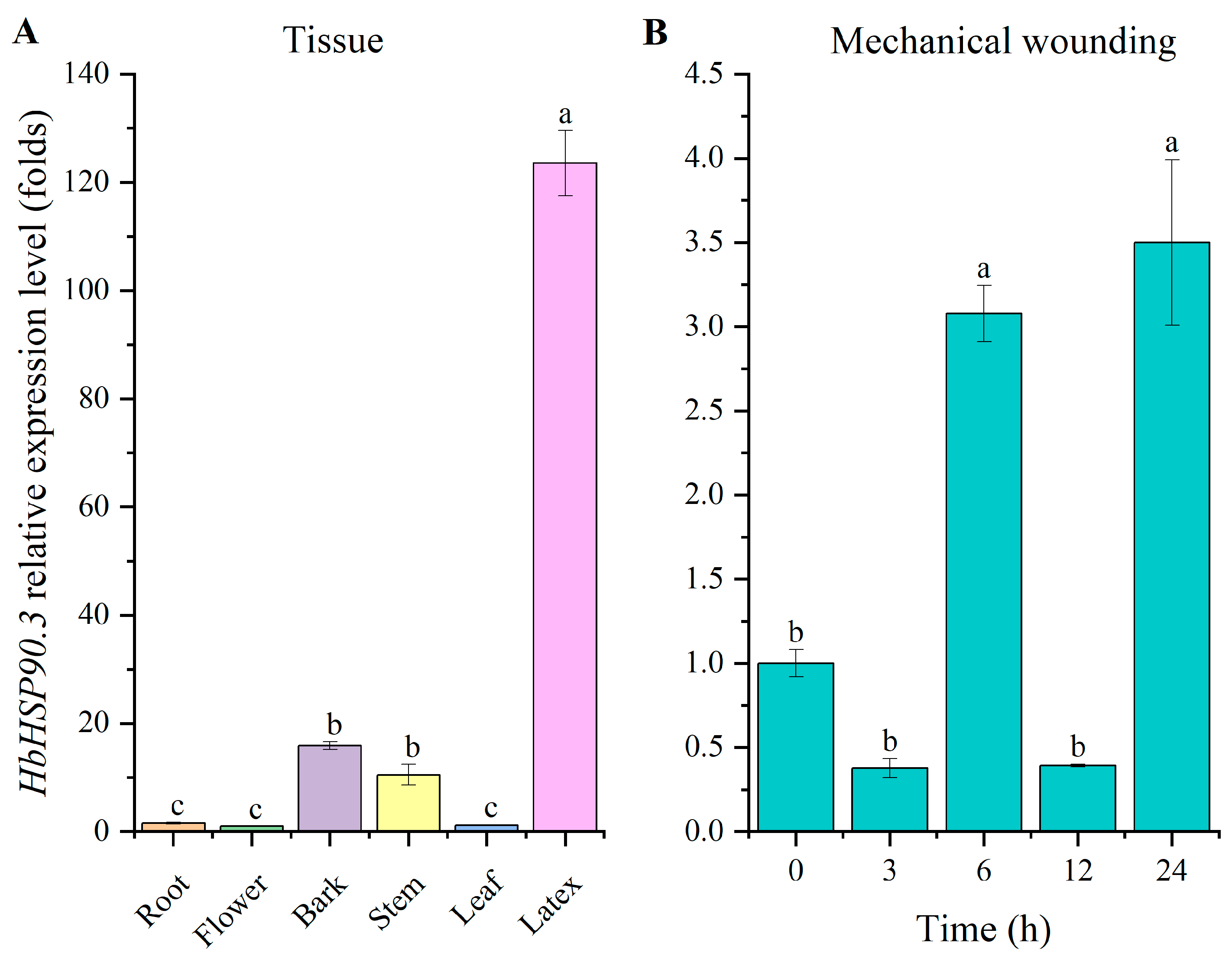 Plants 14 03679 g002