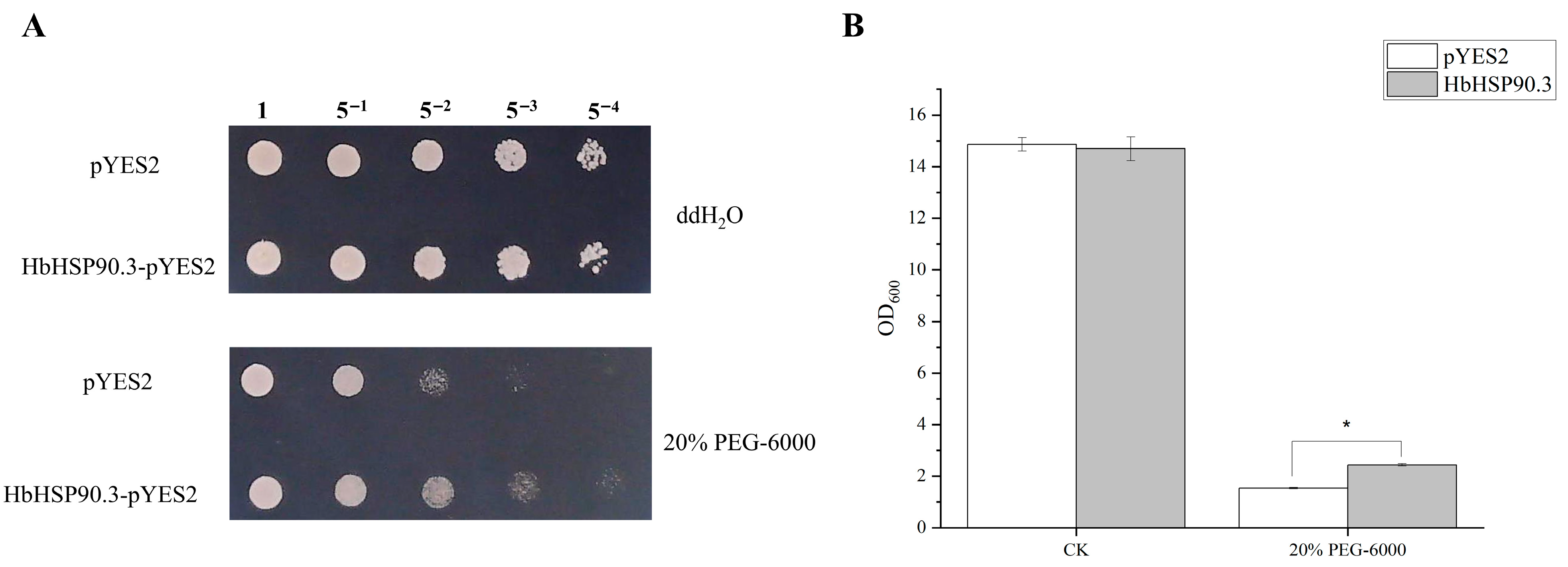 Plants 14 03679 g004