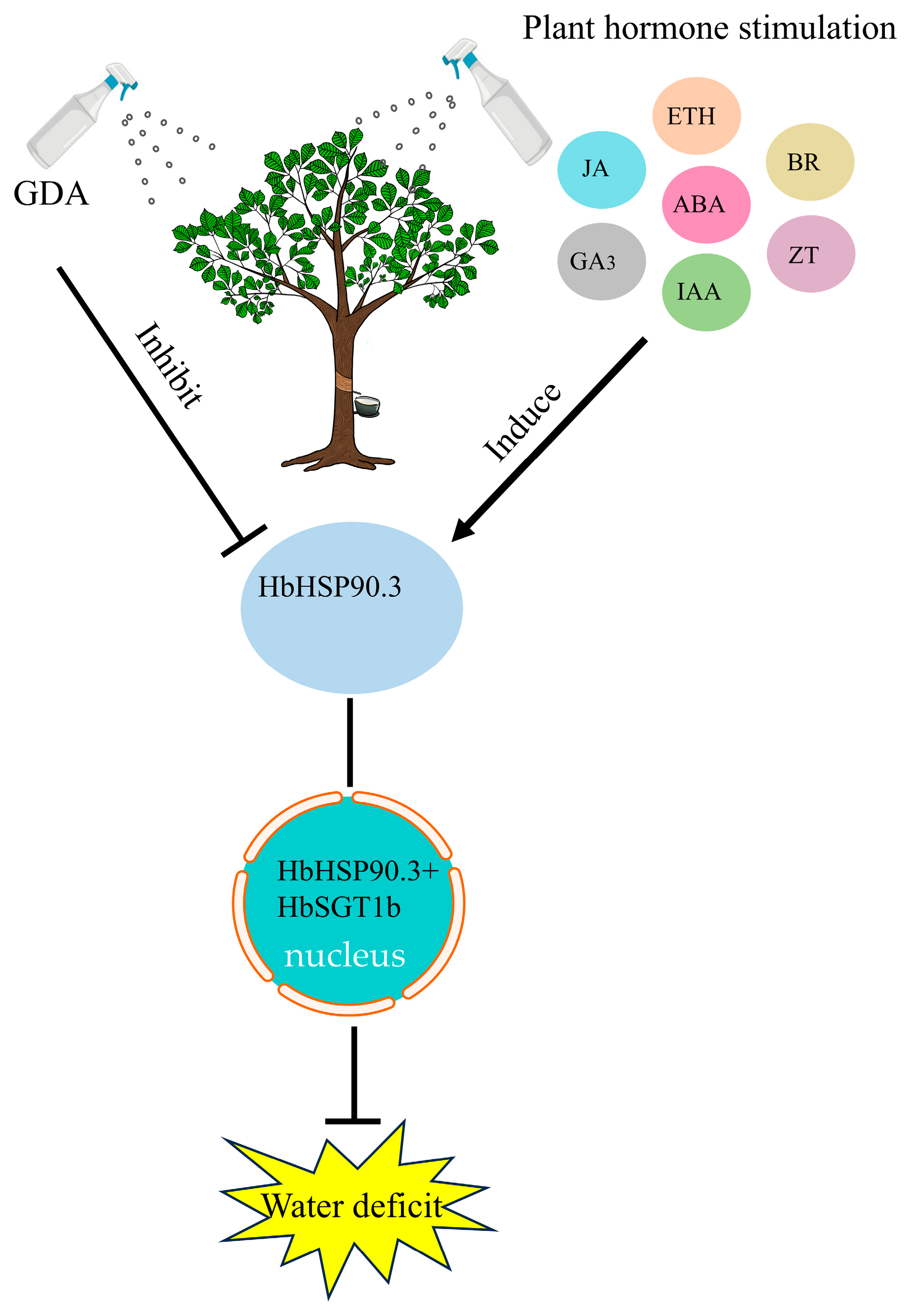 Plants 14 03679 g007