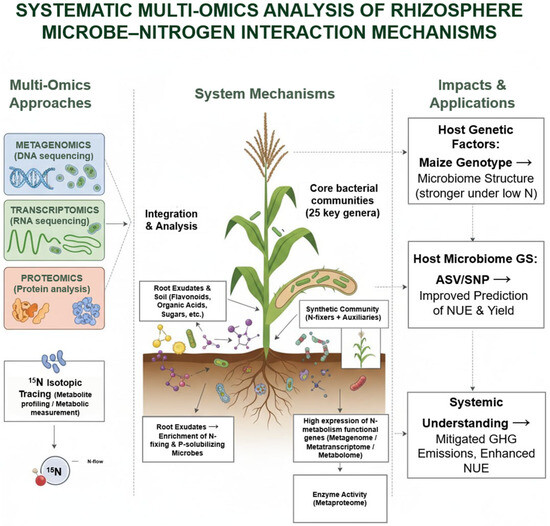 Second Genome: Rhizosphere Microbiome as a Key External Driver of ...