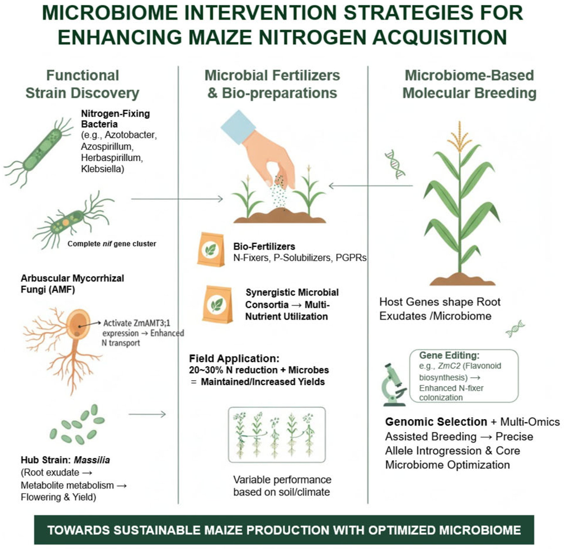 Plants 14 03680 g004