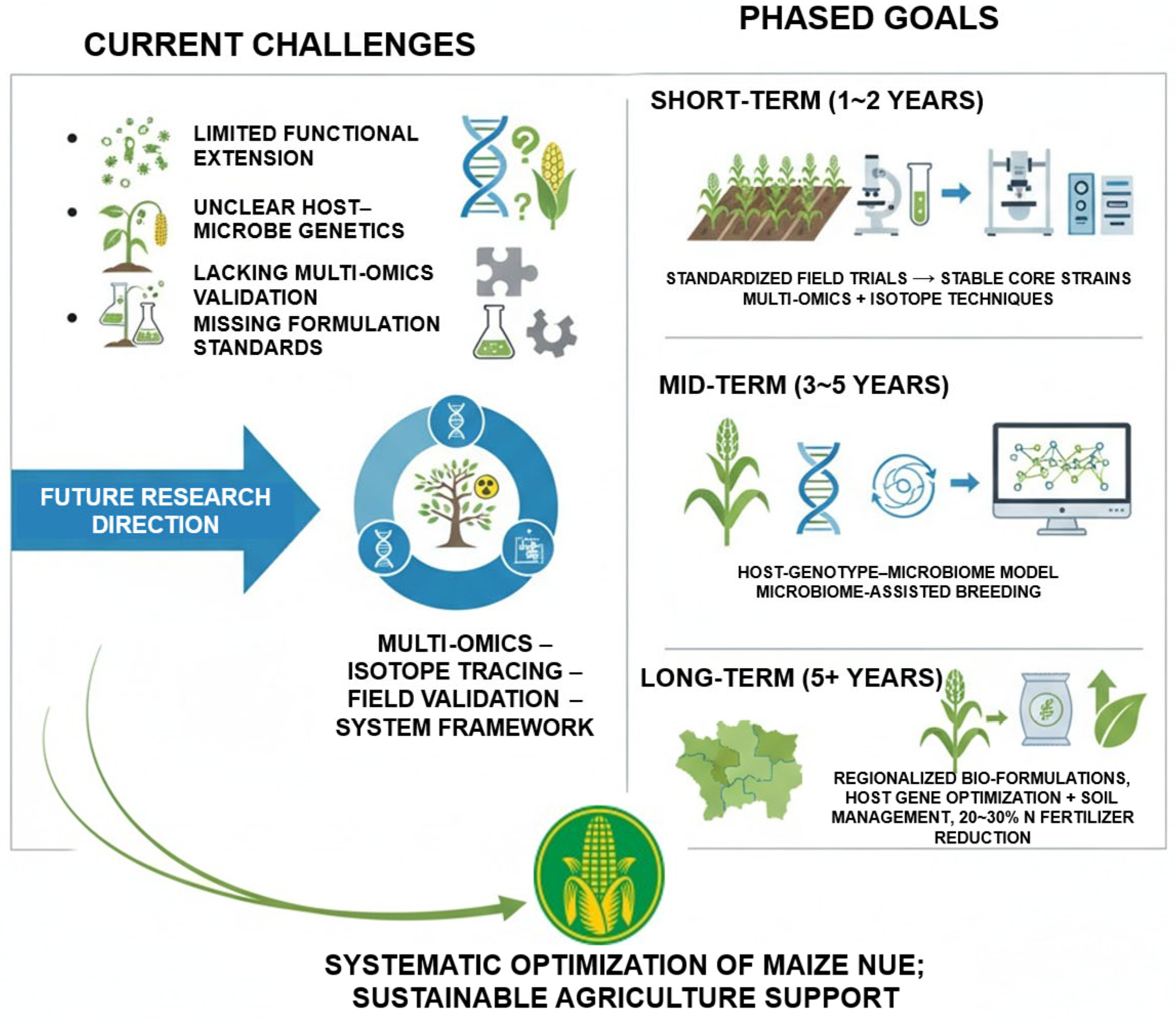 Plants 14 03680 g005