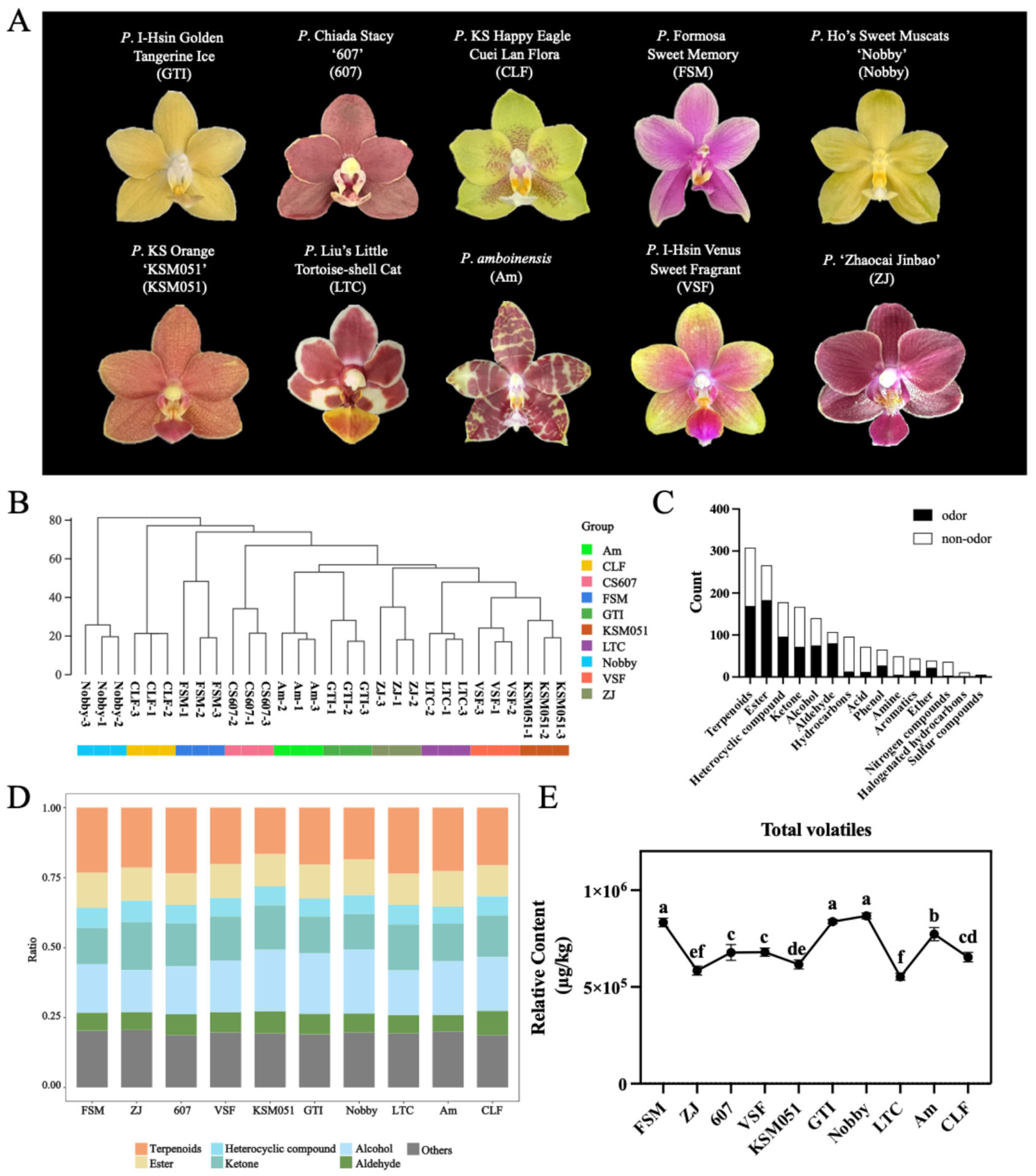 Plants 14 03682 g001