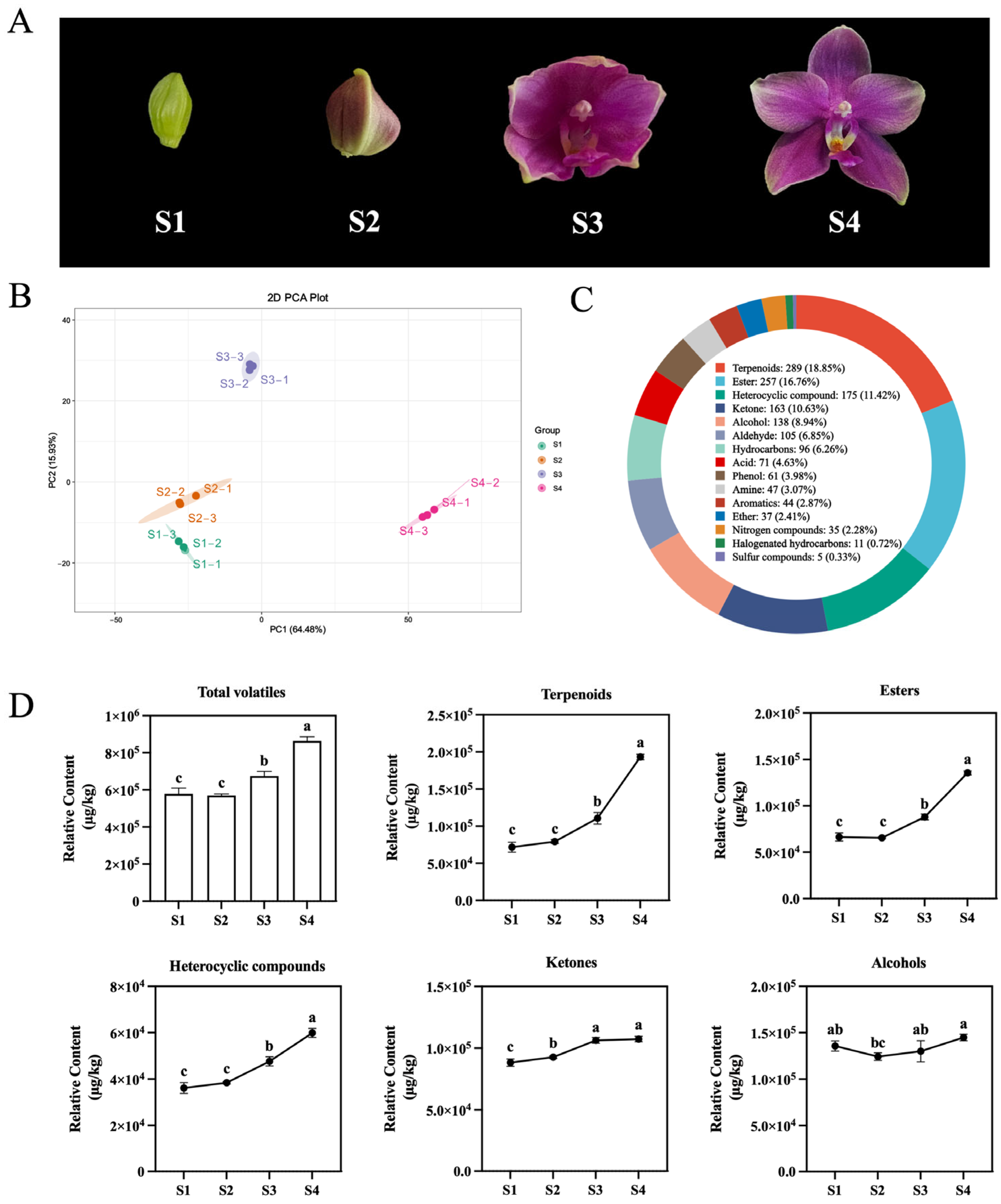 Plants 14 03682 g002