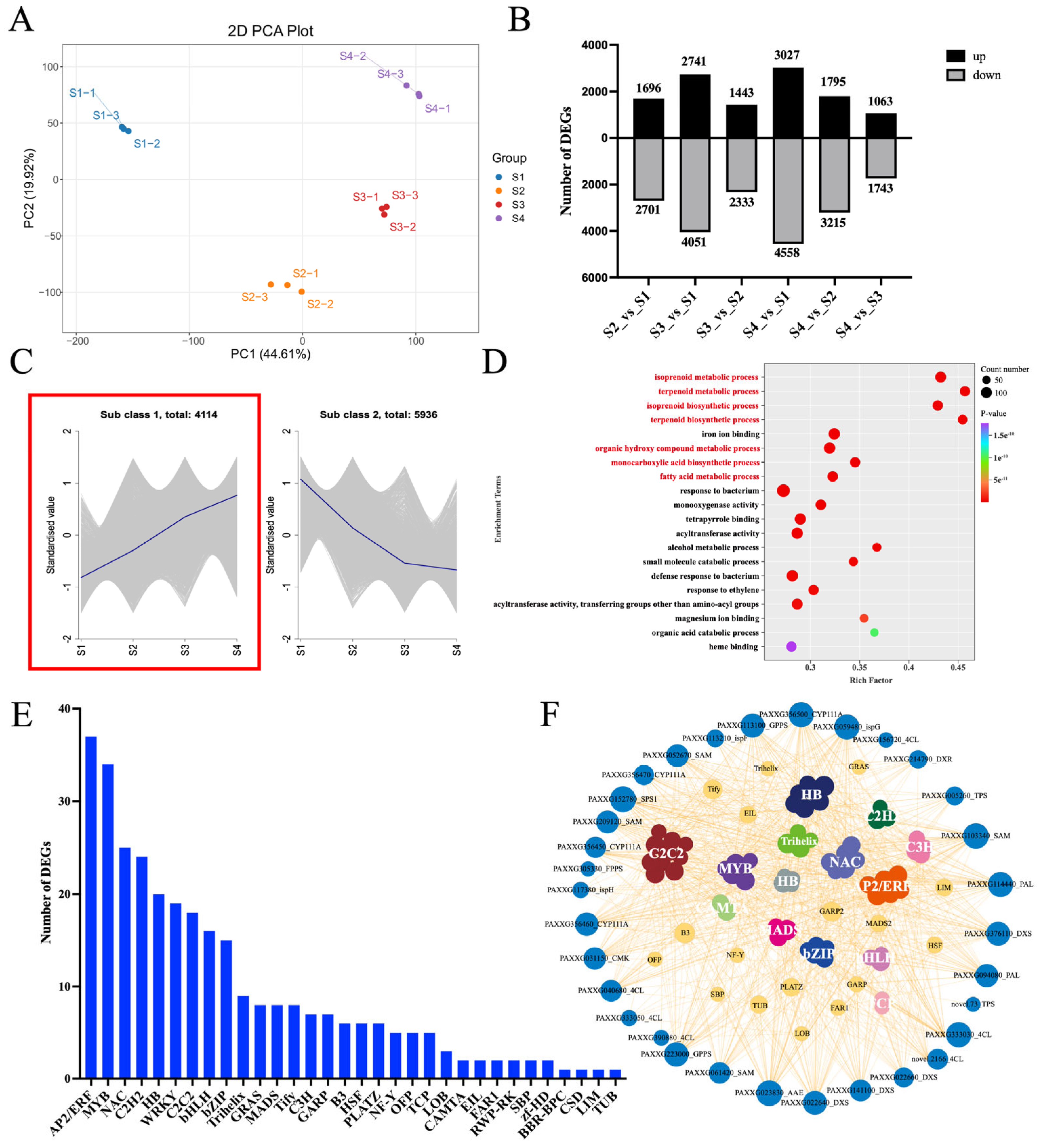 Plants 14 03682 g004