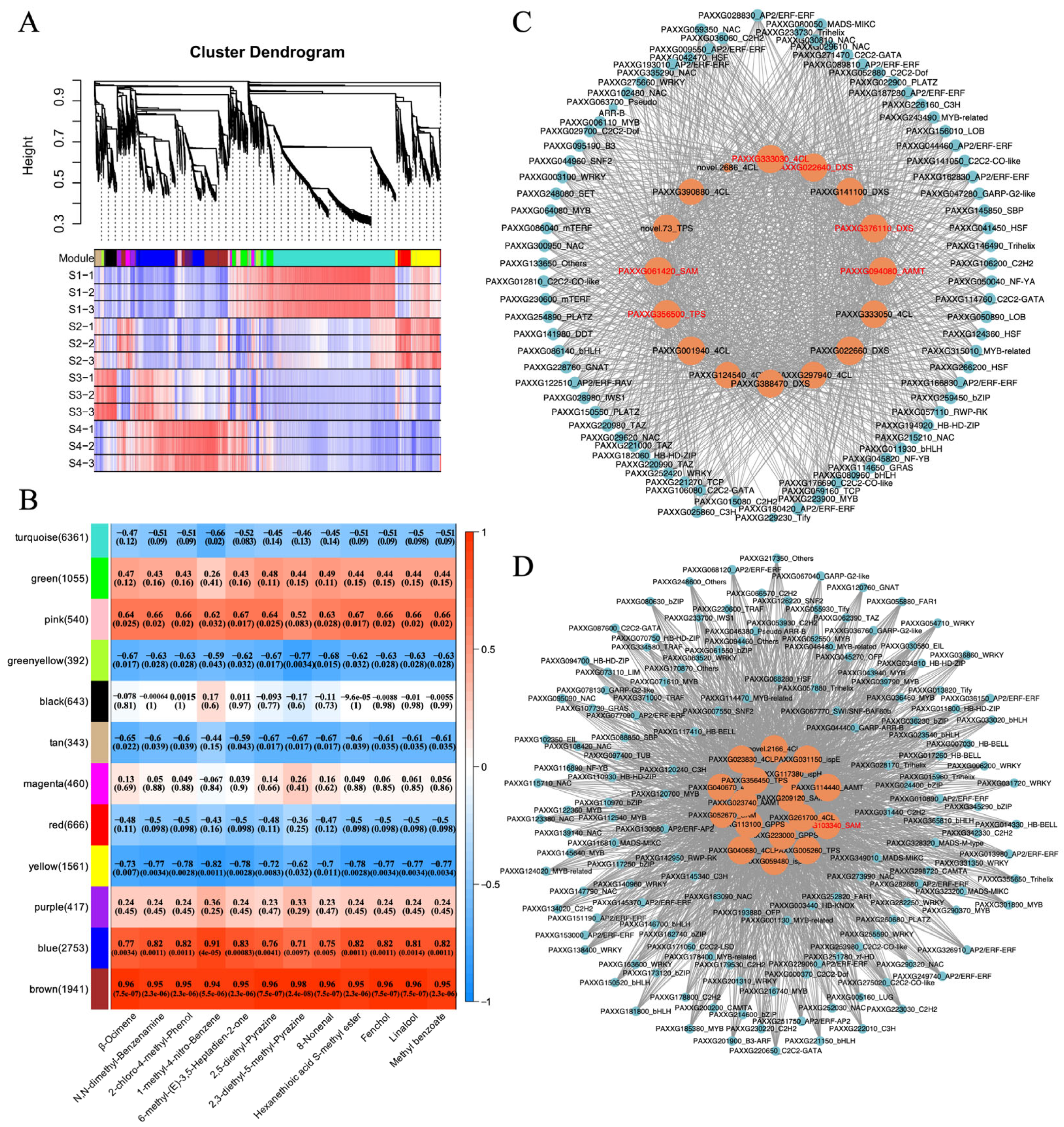 Plants 14 03682 g005